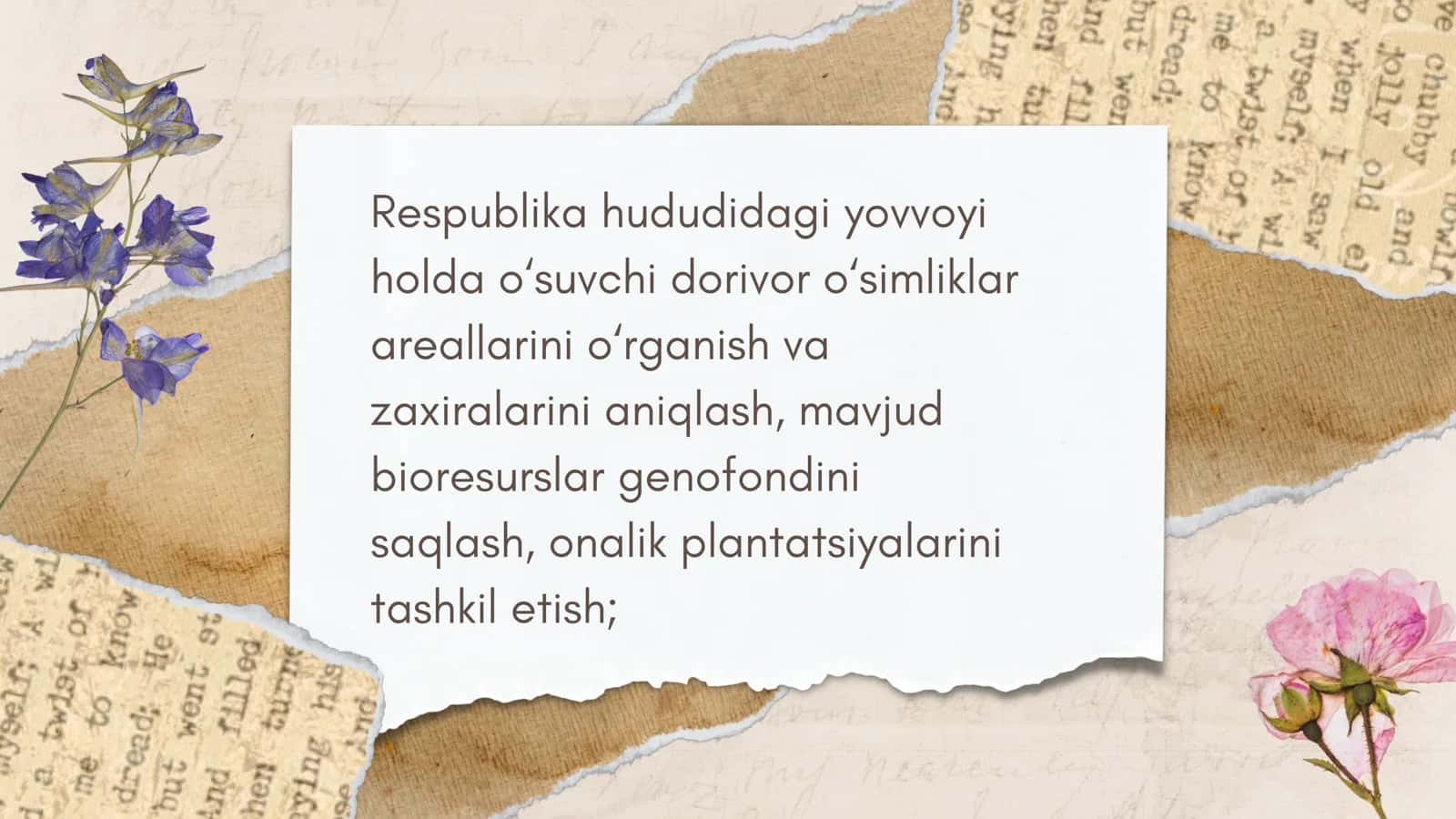 Dorivorlar va ziravorlar va dorivor va ziravorlarni qayta ishlash va saqlash 2