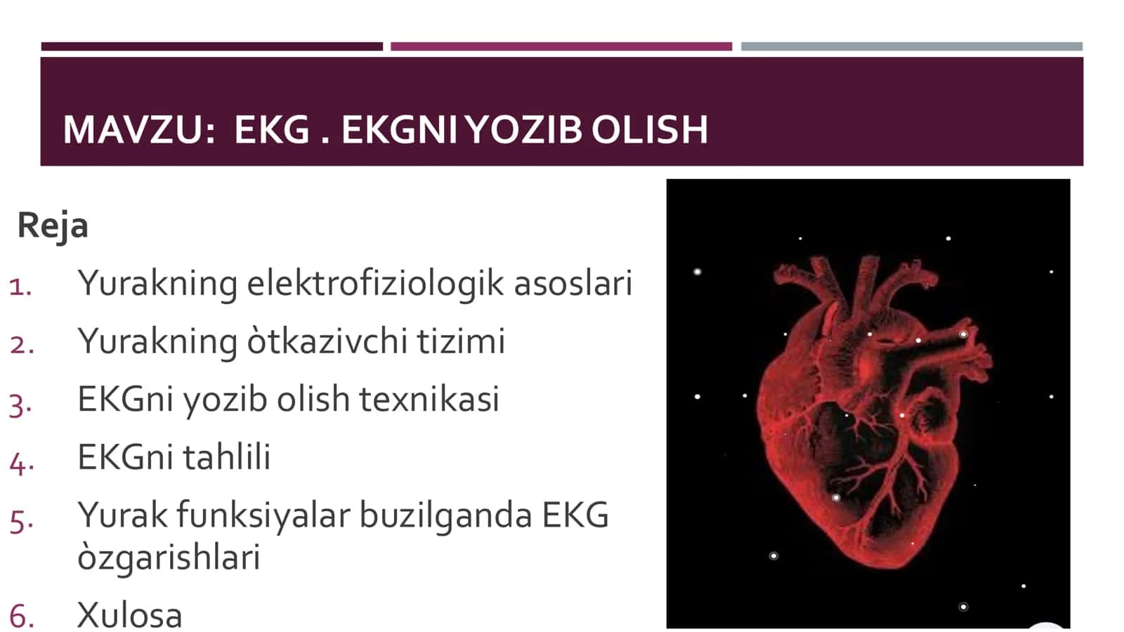 ELEKTROKARDIOGRAFIYA (EKG) 2