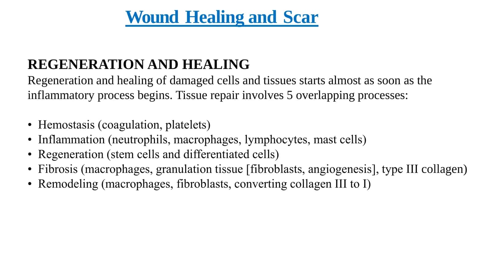 Wound Healing and Scar 2