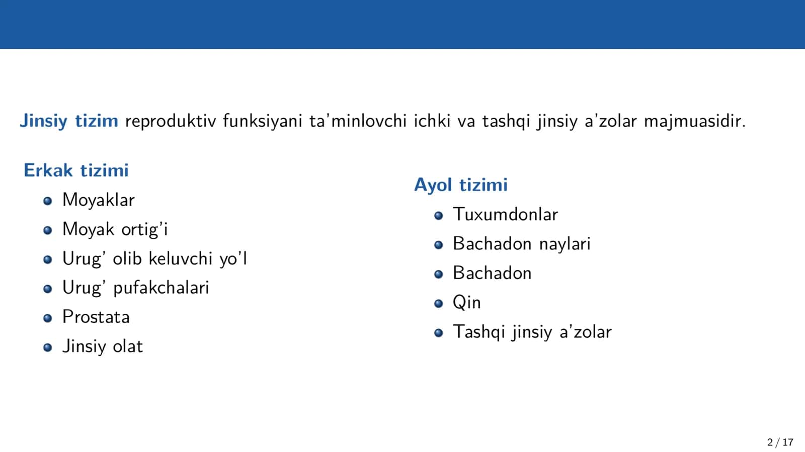 Jinsiy tizim anatomiyasi 2
