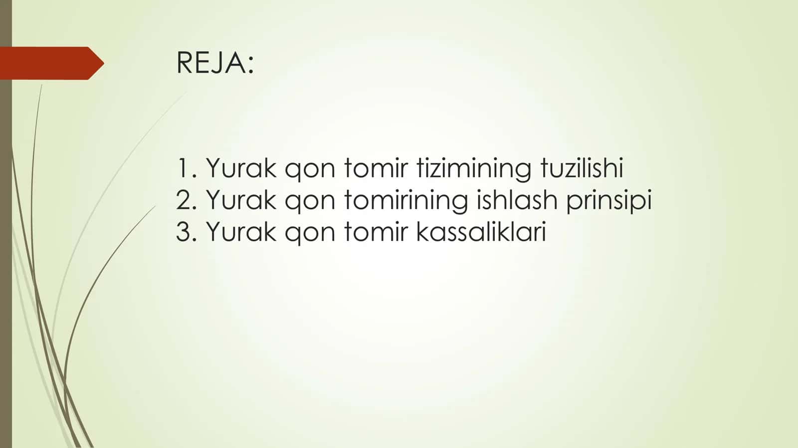 Yurak qon tomir tizimi 2