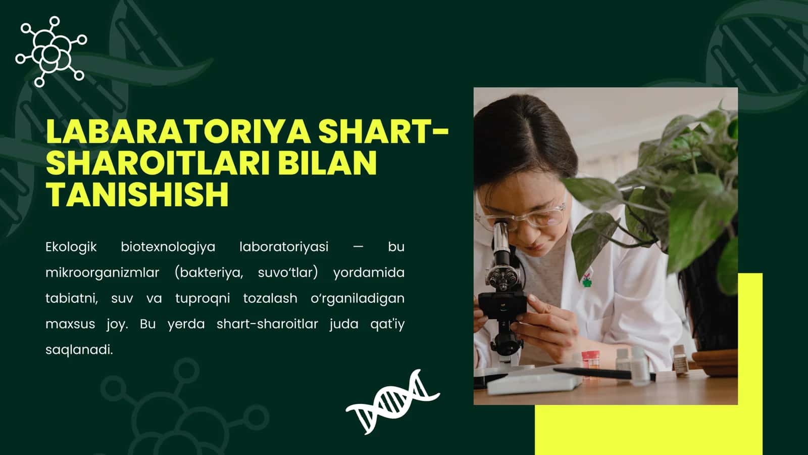 Labaratoriya shart-sharoitlari bilan tanishish, ekologik biotexnologiya laboratoriyasi 2