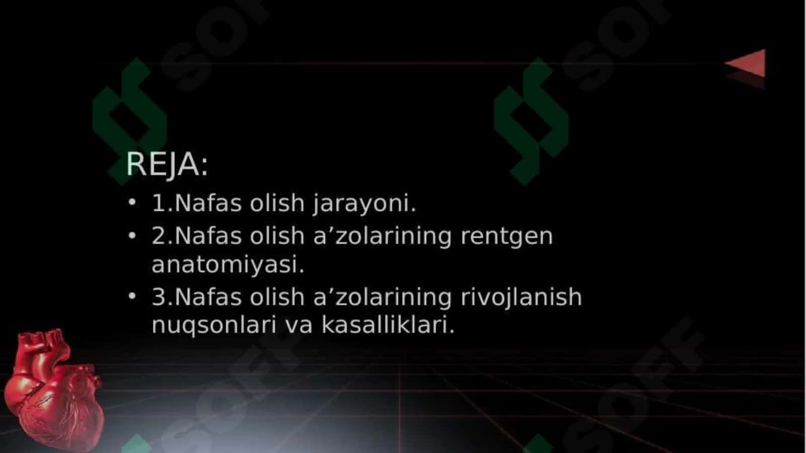 Nafas olish jarayoni. Nafas a'zolarining rentgen anatomiyasi va rivojlanish 2