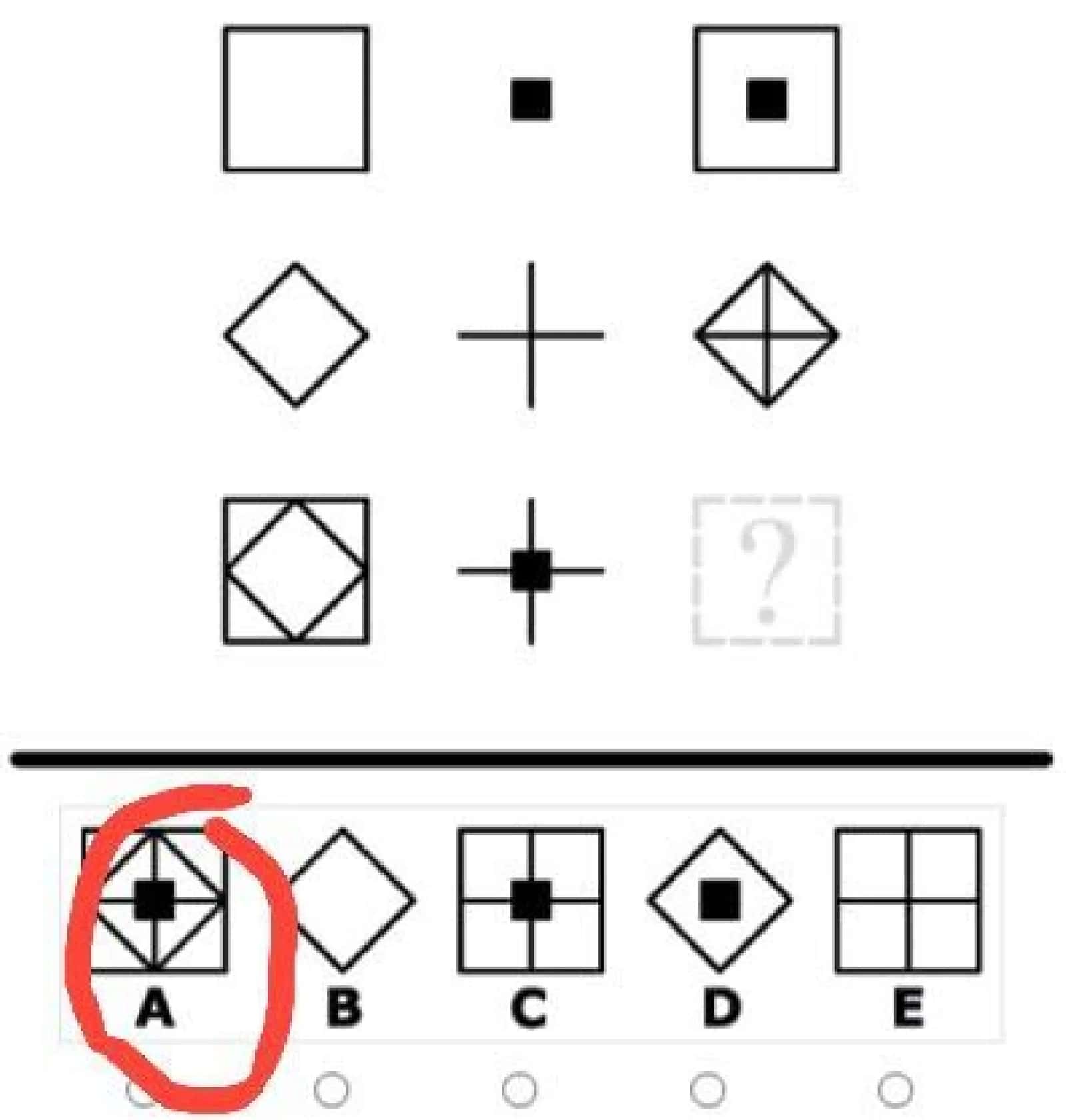 ARGOS iQ test 2025 2