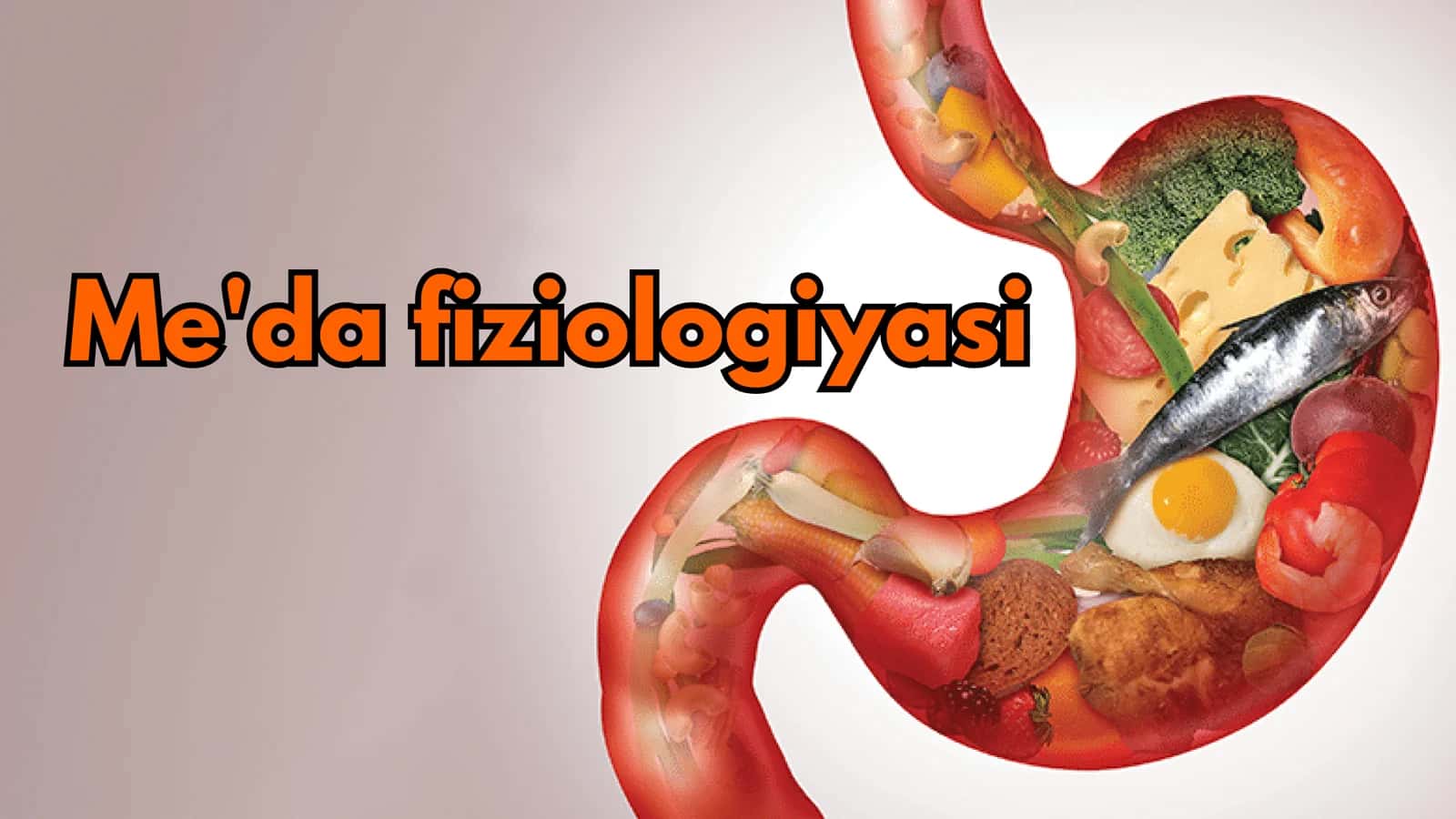 Intensiv fiziologiya 2