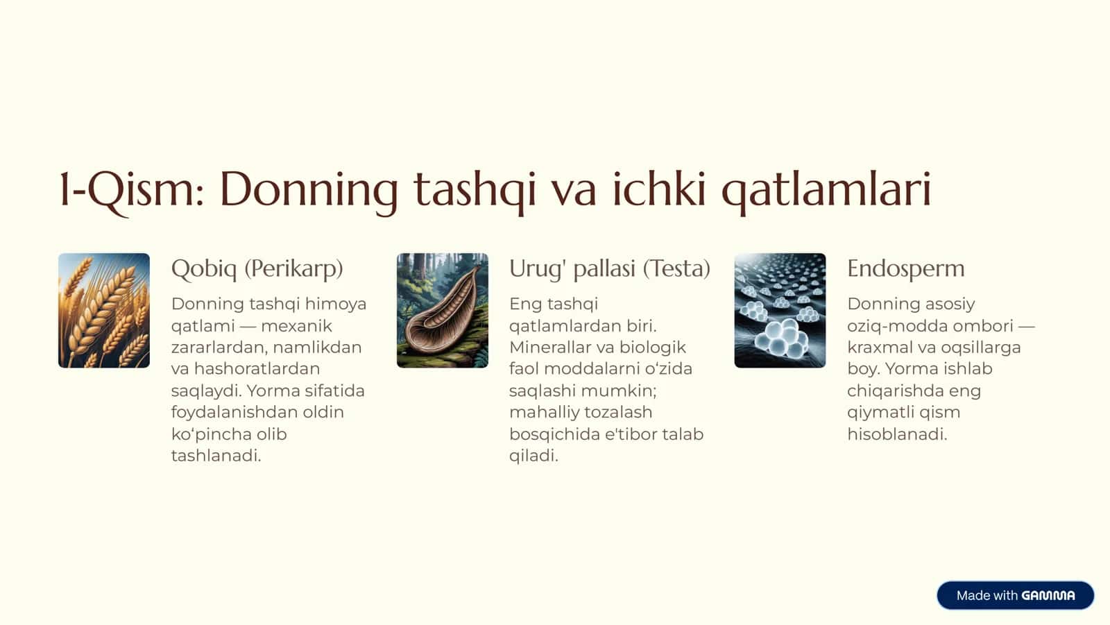 Tariq Donining Anatomik Tuzilishi va Yorma Ishlab Chiqarishdagi Ahamiyati 2