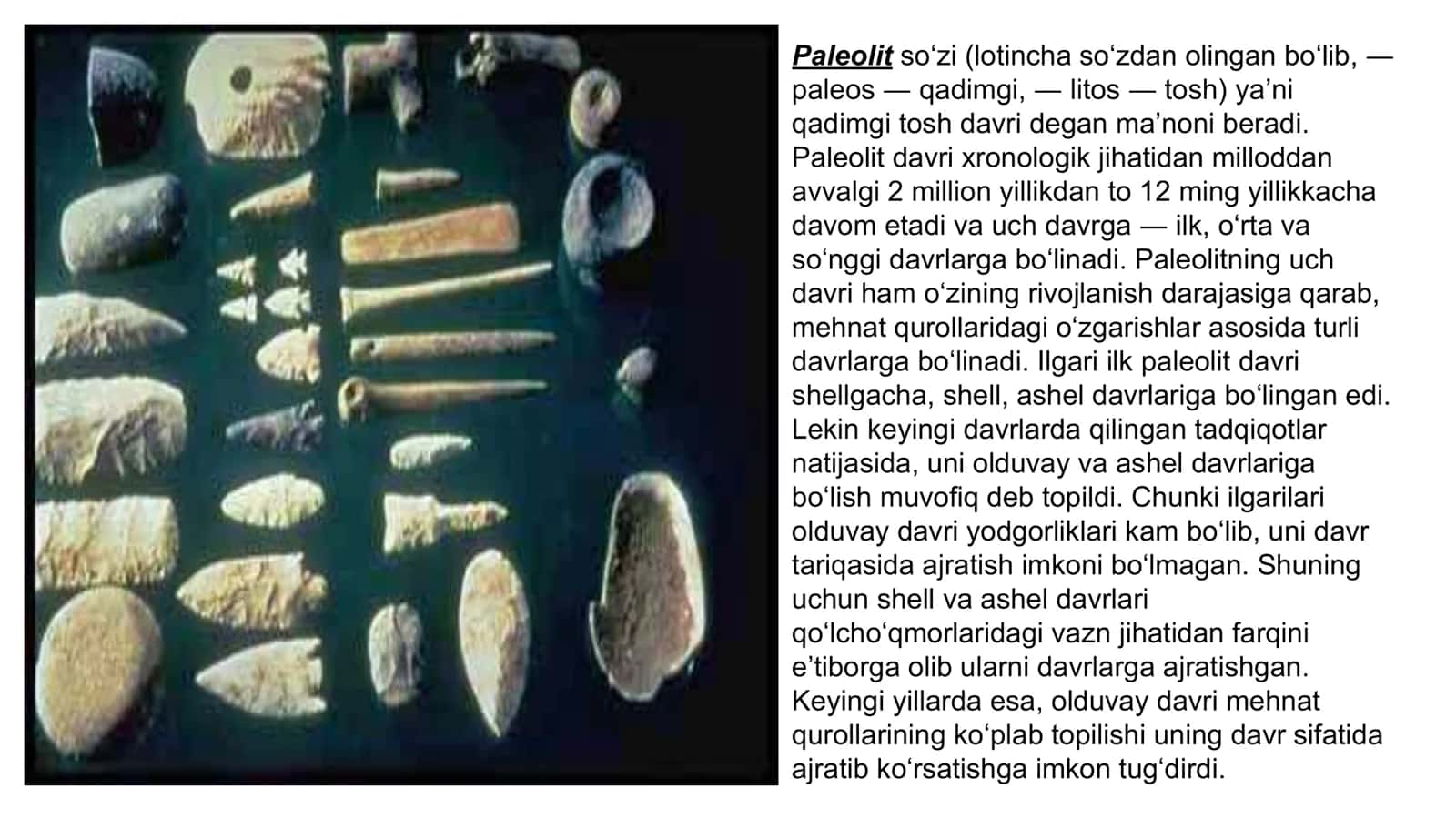Oʻrta paleolit xususiyatlari 2