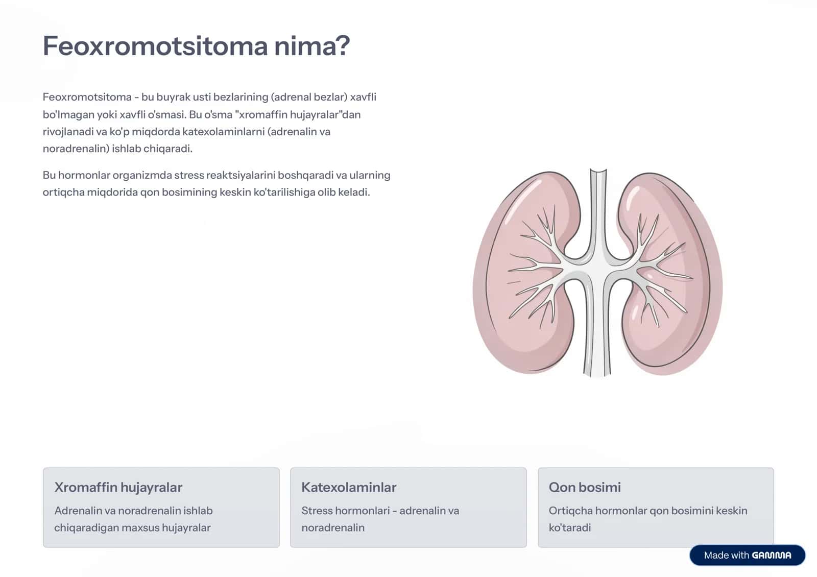 Feoxromotsitoma 2