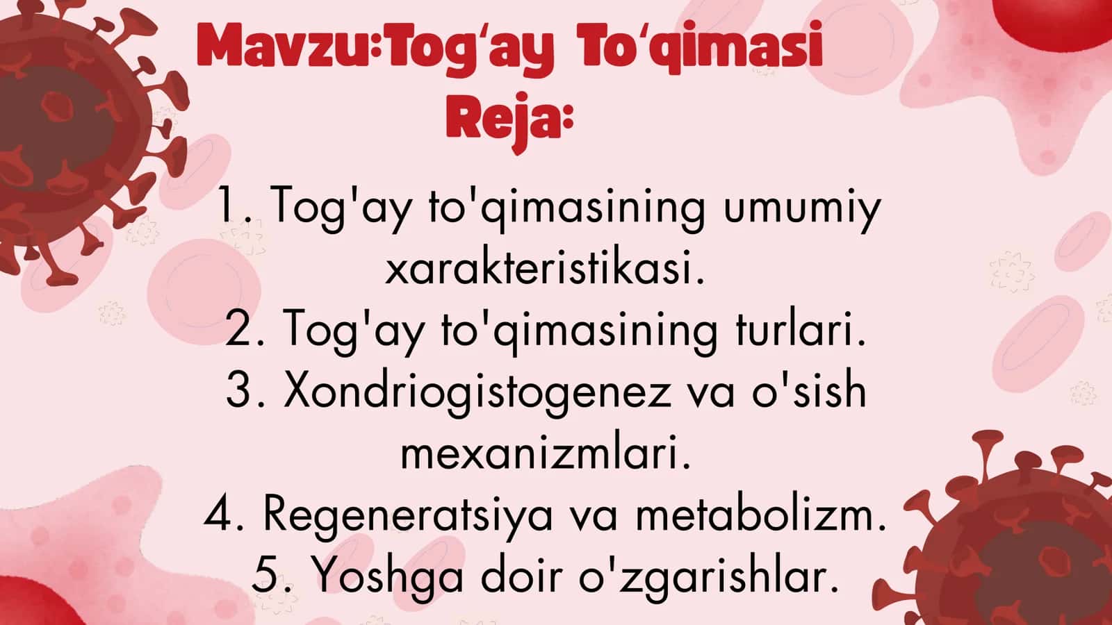 Togʻay Toʻqimasi 2