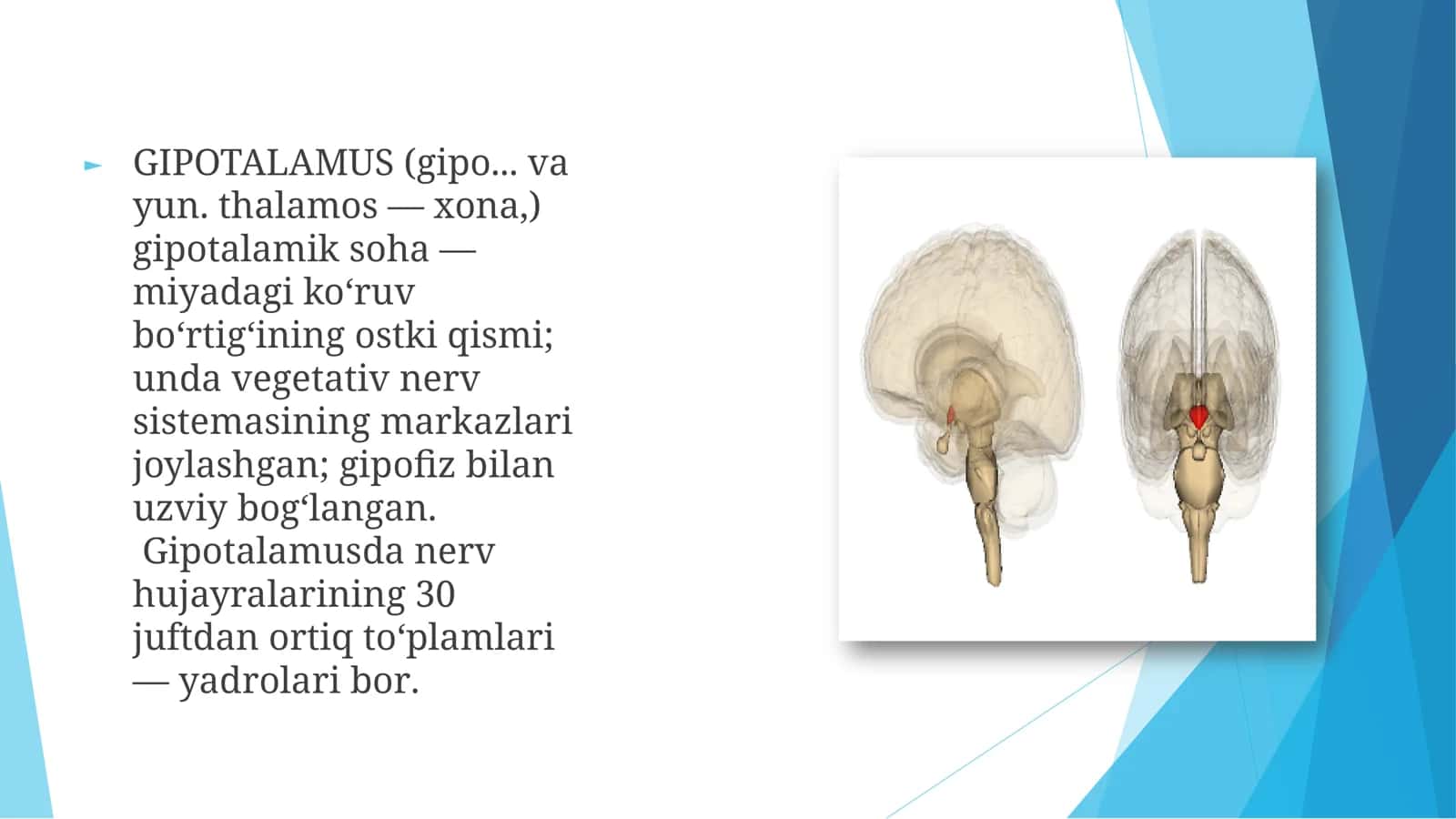 Gipotalamus o'zaklari va ularning klinik ahamiyati 2