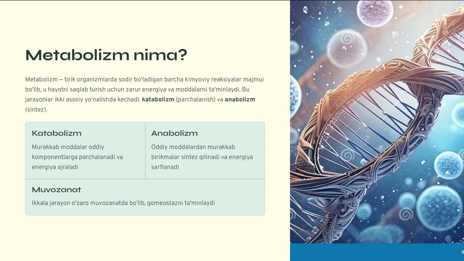 Metabolizm 2
