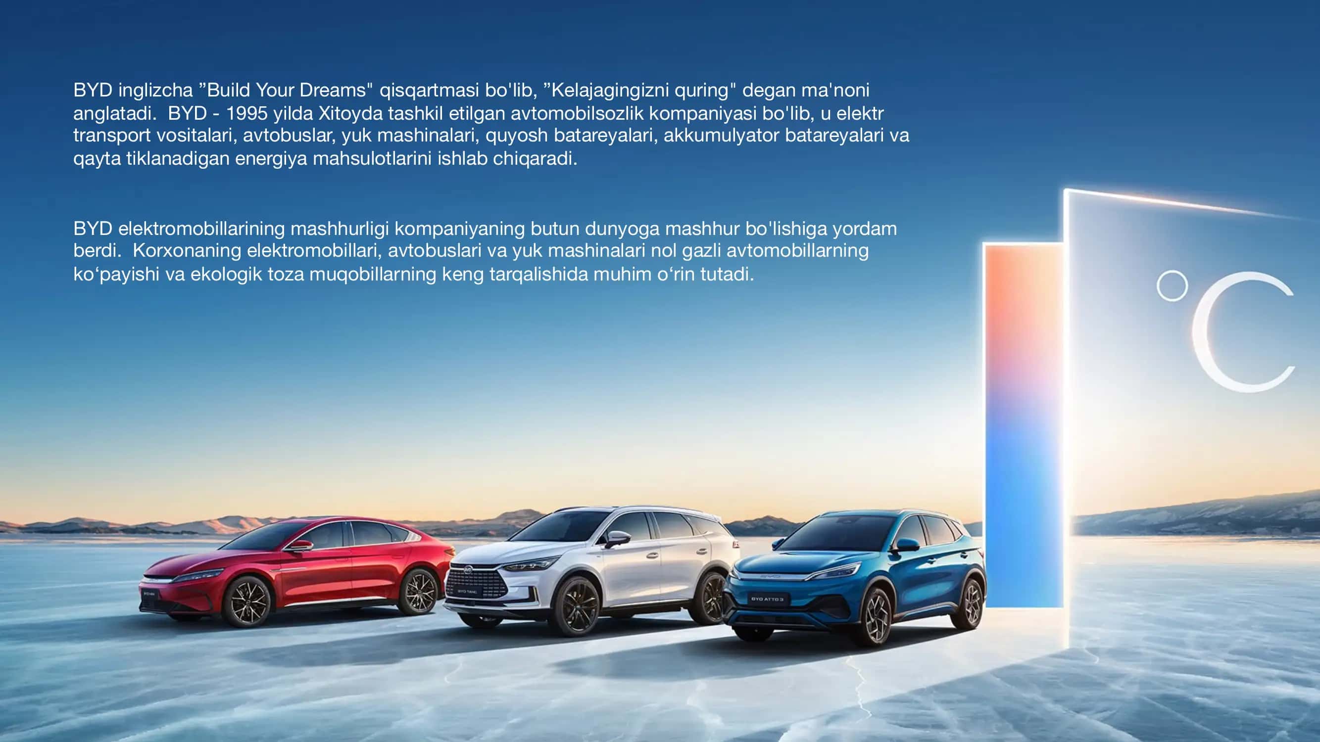 BYD 2