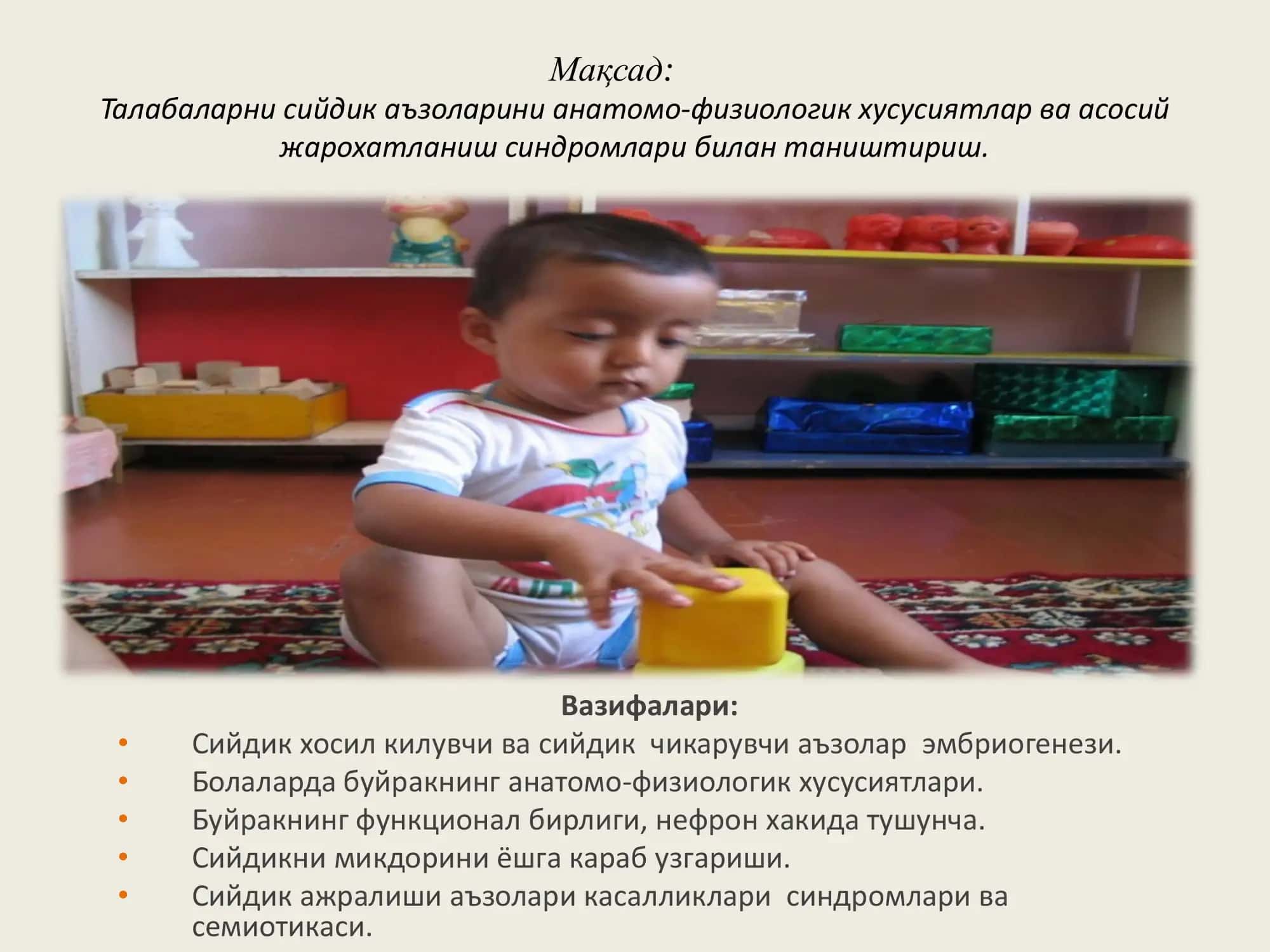 Сийдик аъзоларининг анатомо-физиологик хусусиятлари ва жарохатланиш синдромлари 2