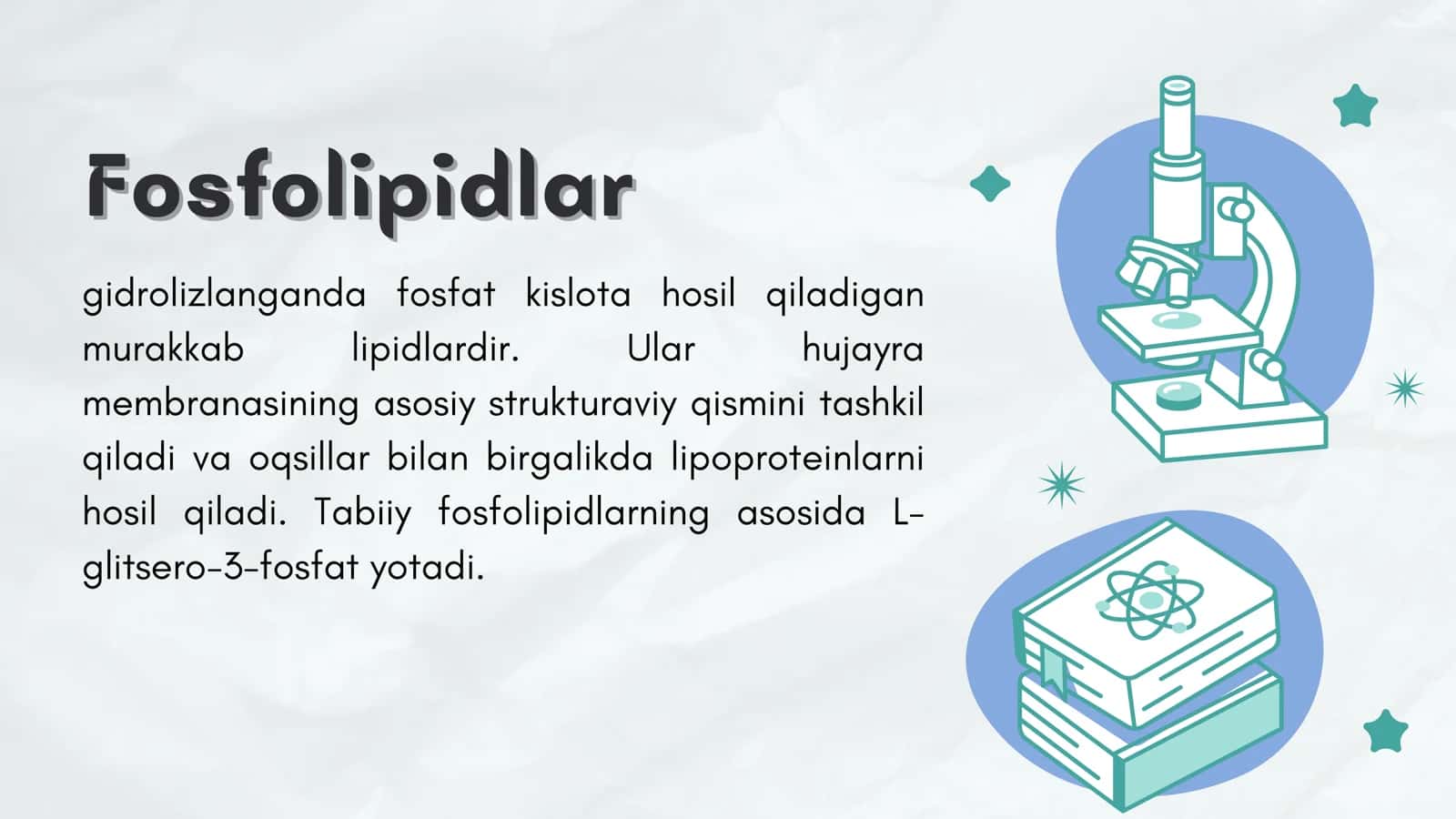 Fosfolipid 2