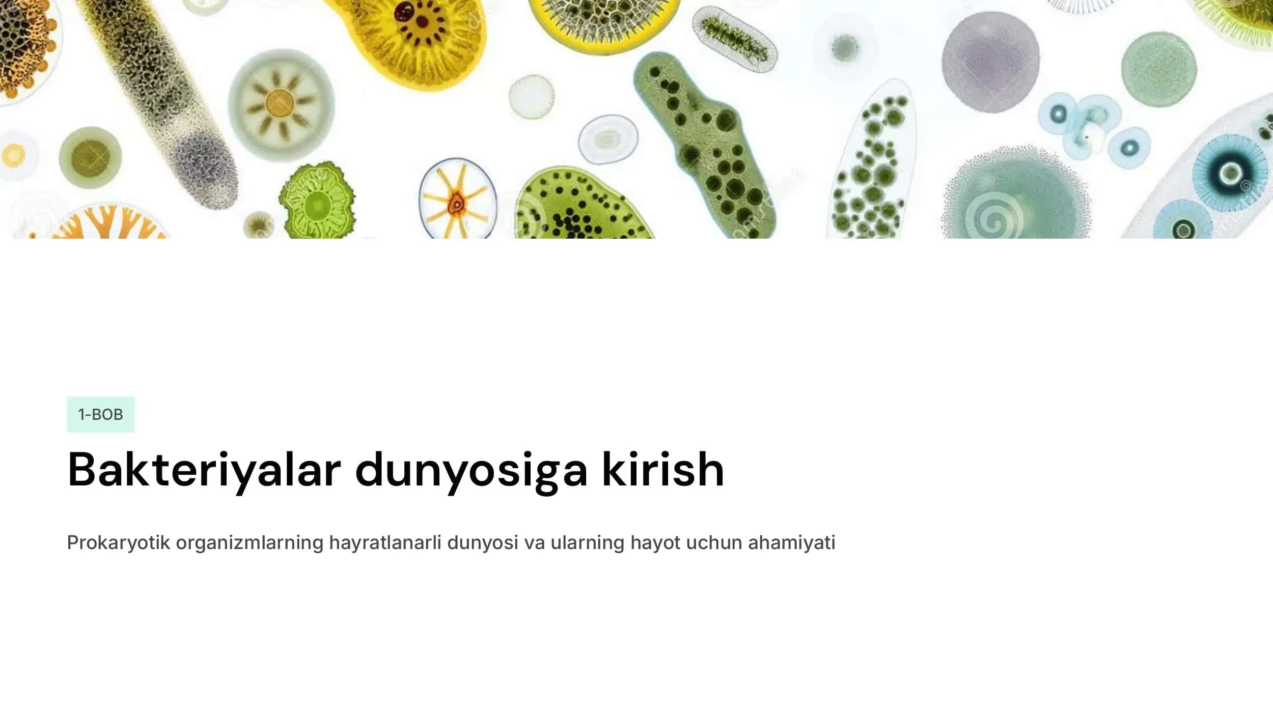 Bakteriya hujayrasining tuzilishi: doimiy bo‘lgan bakterial hujayra tuzilmalari. Kimyoviy tarkibi va ularning funksional ahamiyati. Grammusbat va grammanfiy bakteriyalarning tuzilishi va ularning farqlari (Laboratoriya mashg‘ulotlari). 2