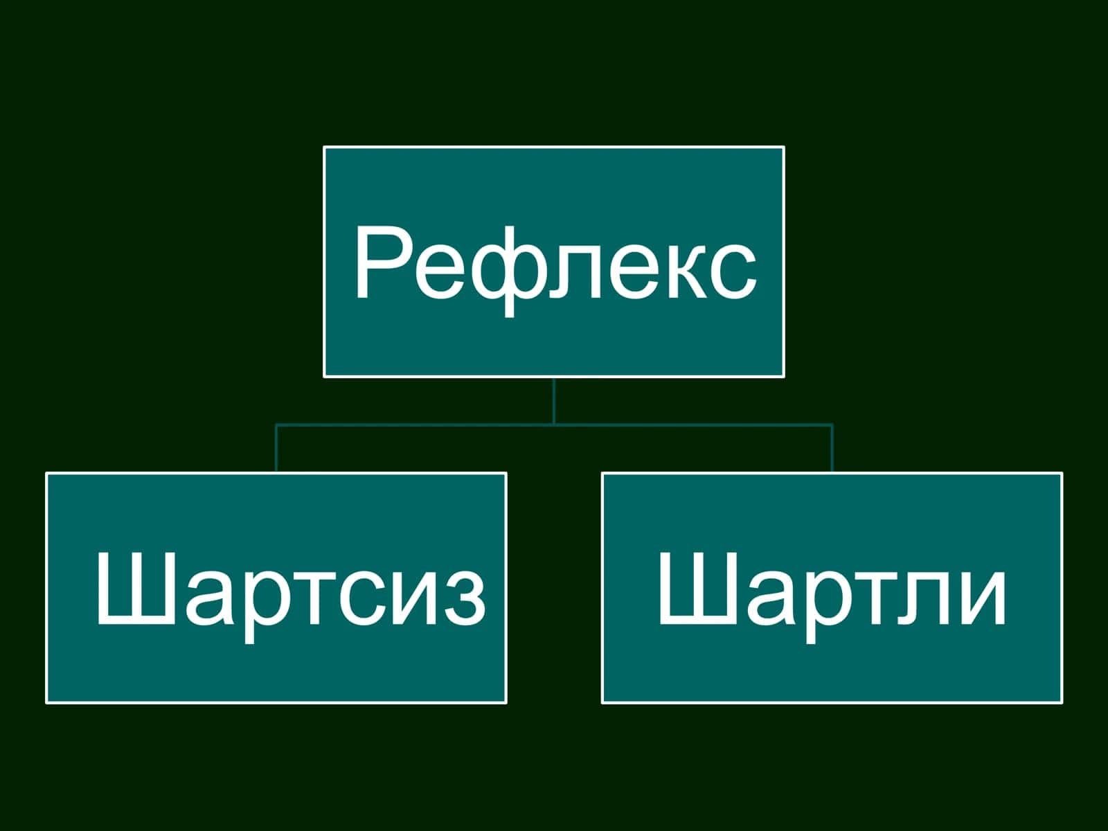 Ўтказувчи йўллар 2