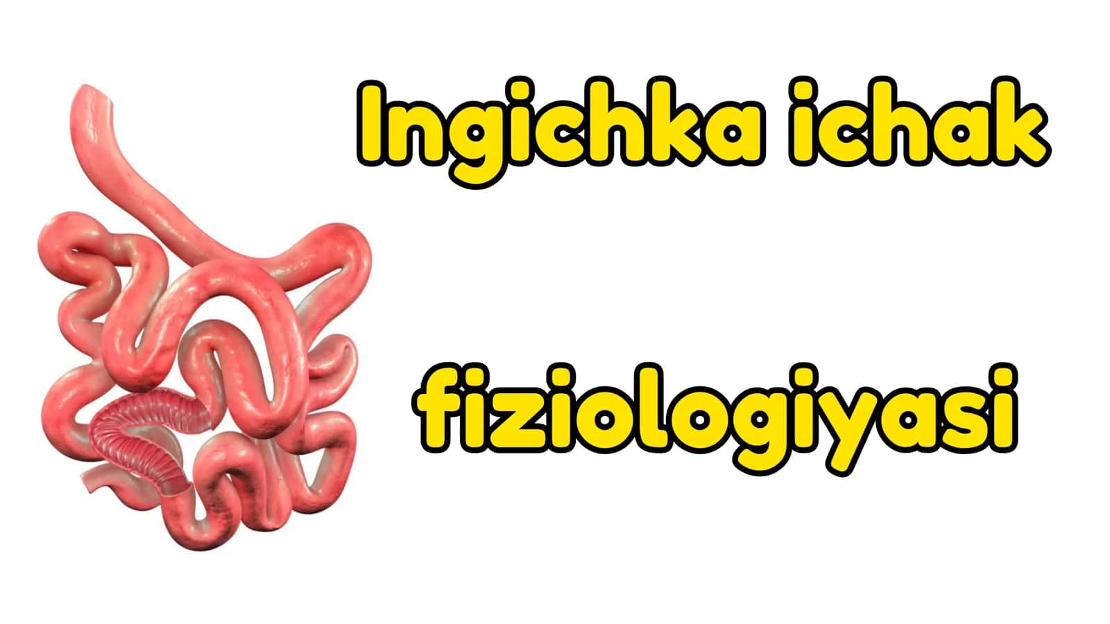 Intensiv fiziologiya 2