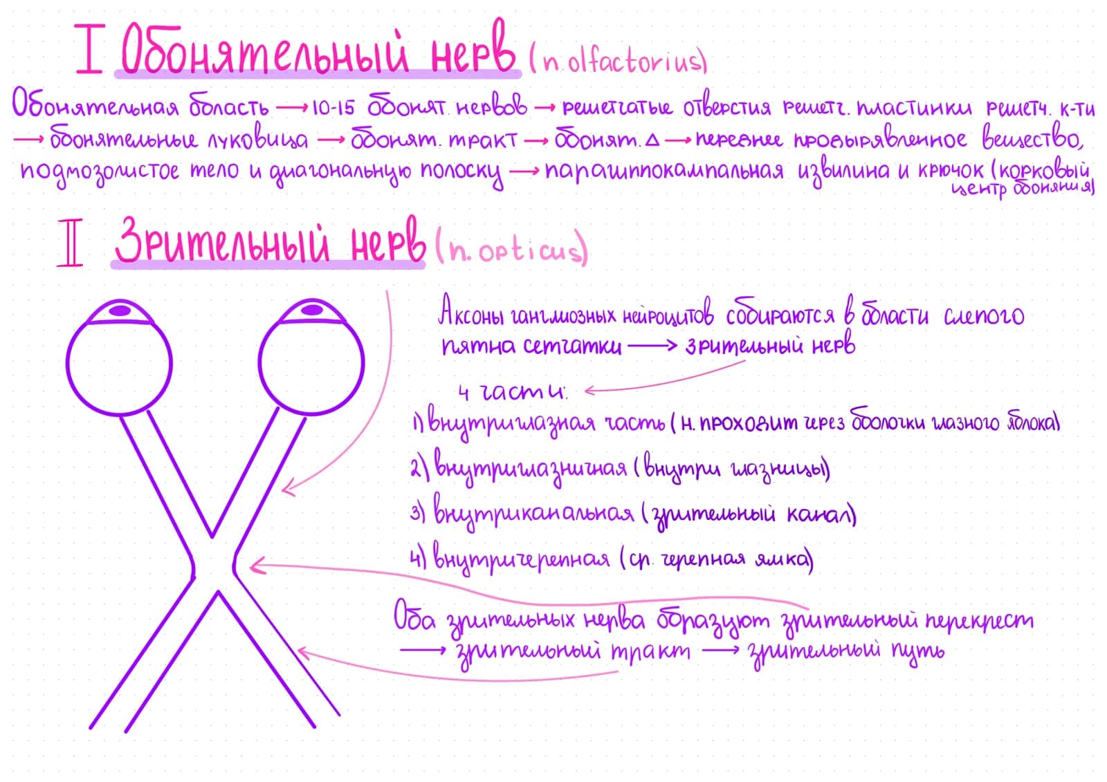 Sxema chmn 2