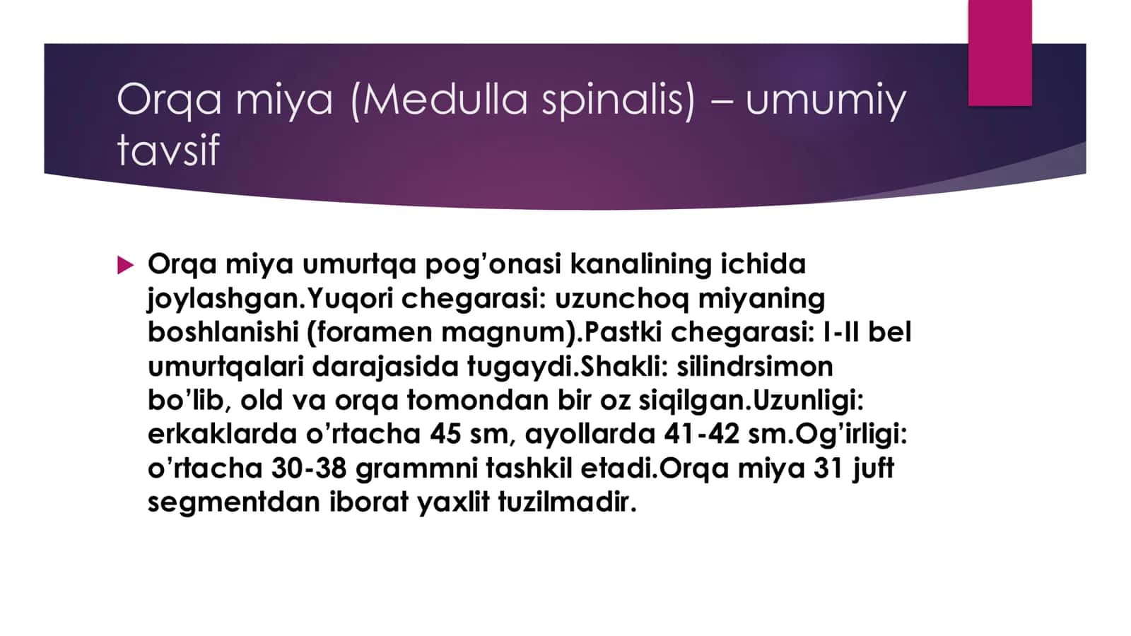 Orqa miya (Medulla spinalis) – umumiy tavsif 2