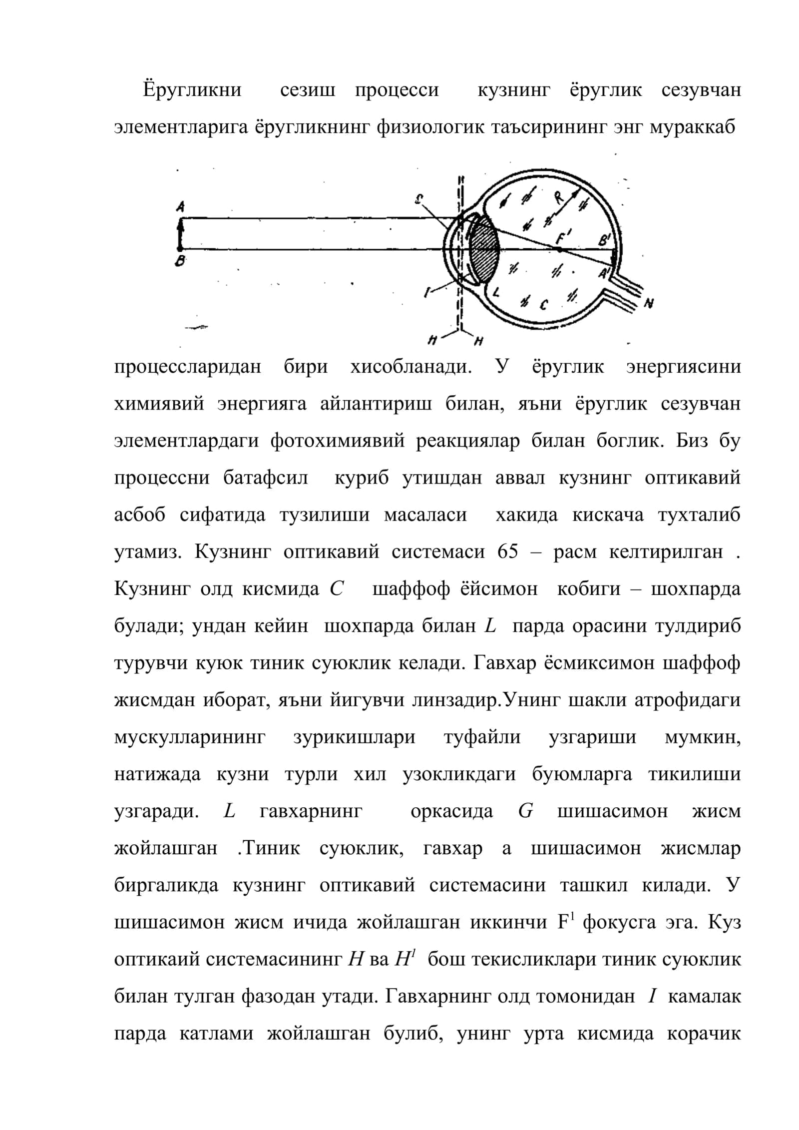 Кўз ва кўриш 2