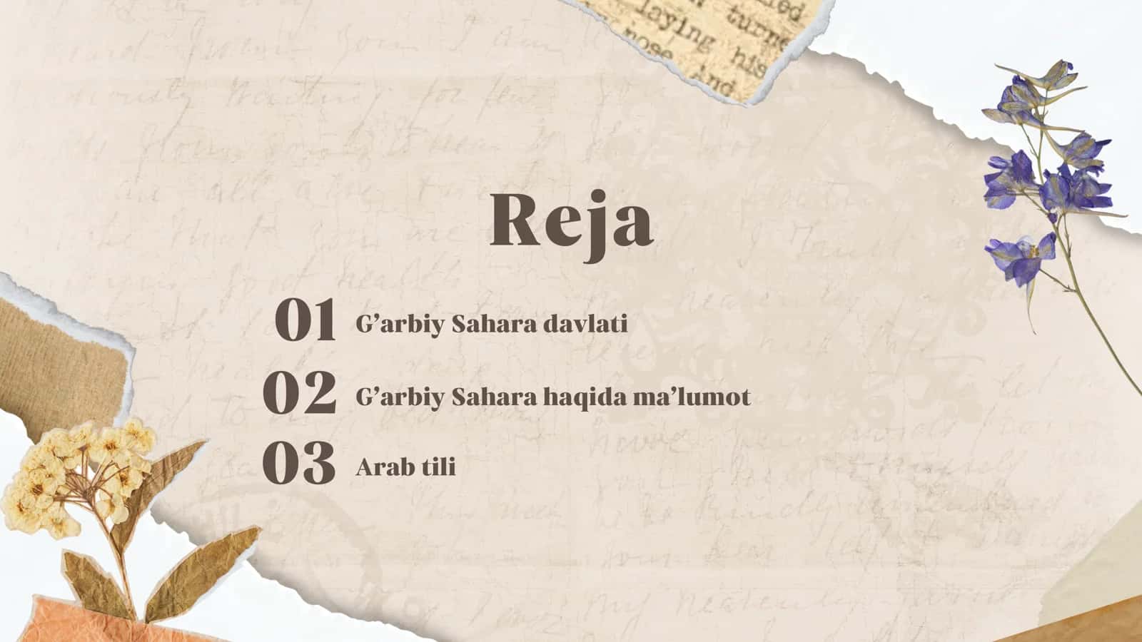 PPT G'arbiy Saharada til vaziyati 2