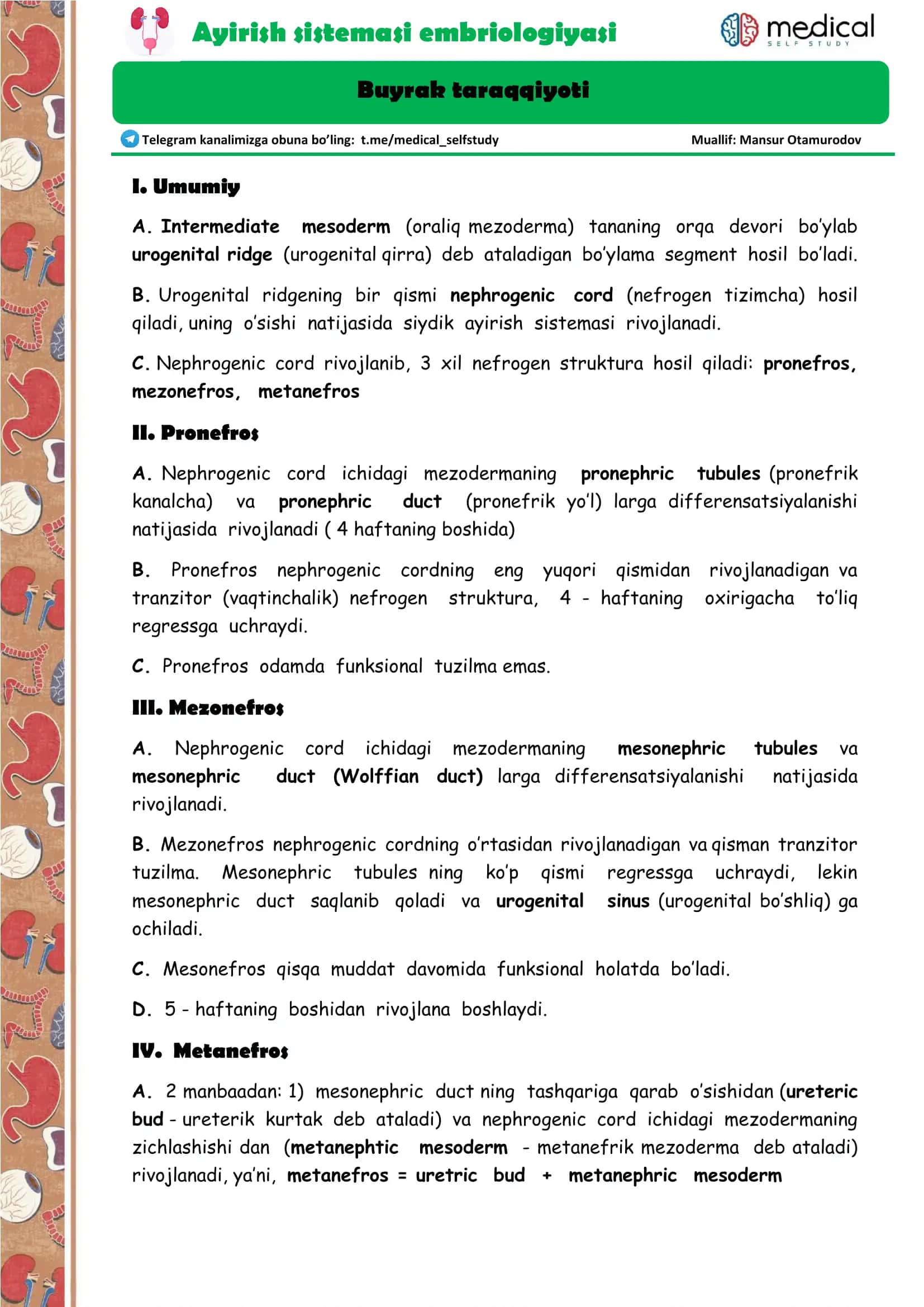 Ayirish sistemasi embriologiyasi 2