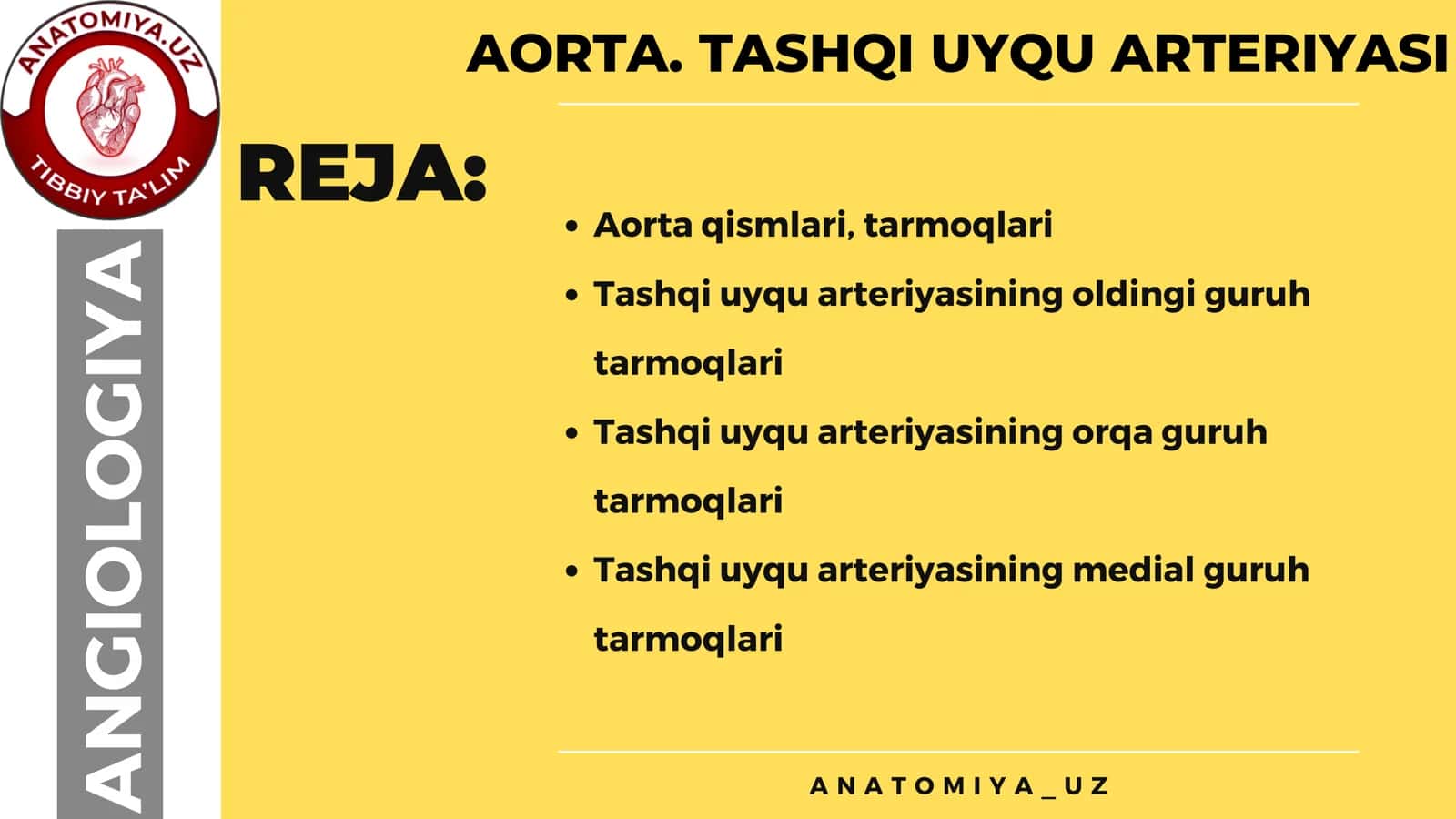 AORTA. TASHQI UYQU ARTERIYASI 2