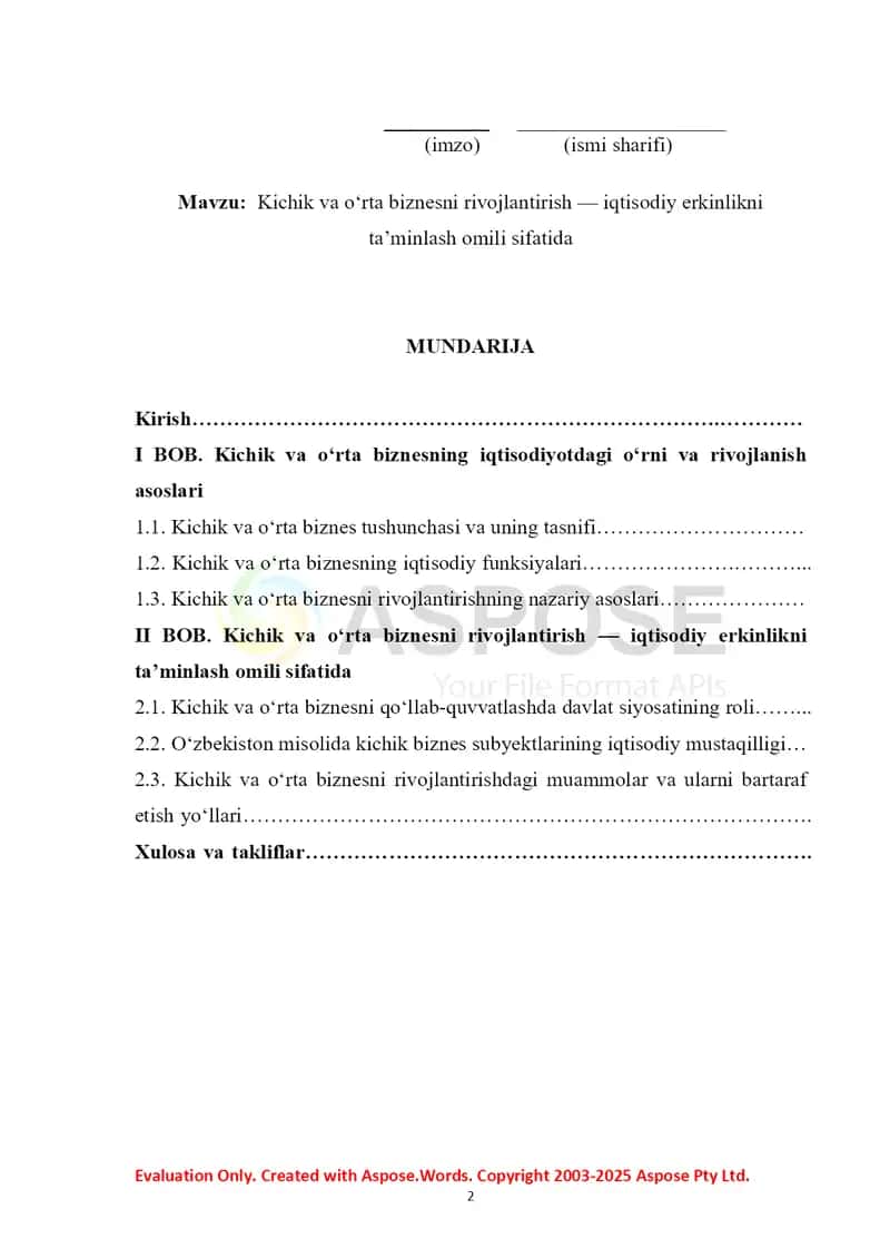 Kichik va o‘rta biznesni rivojlantirish — iqtisodiy erkinlikni ta’minlash omili sifatida 2