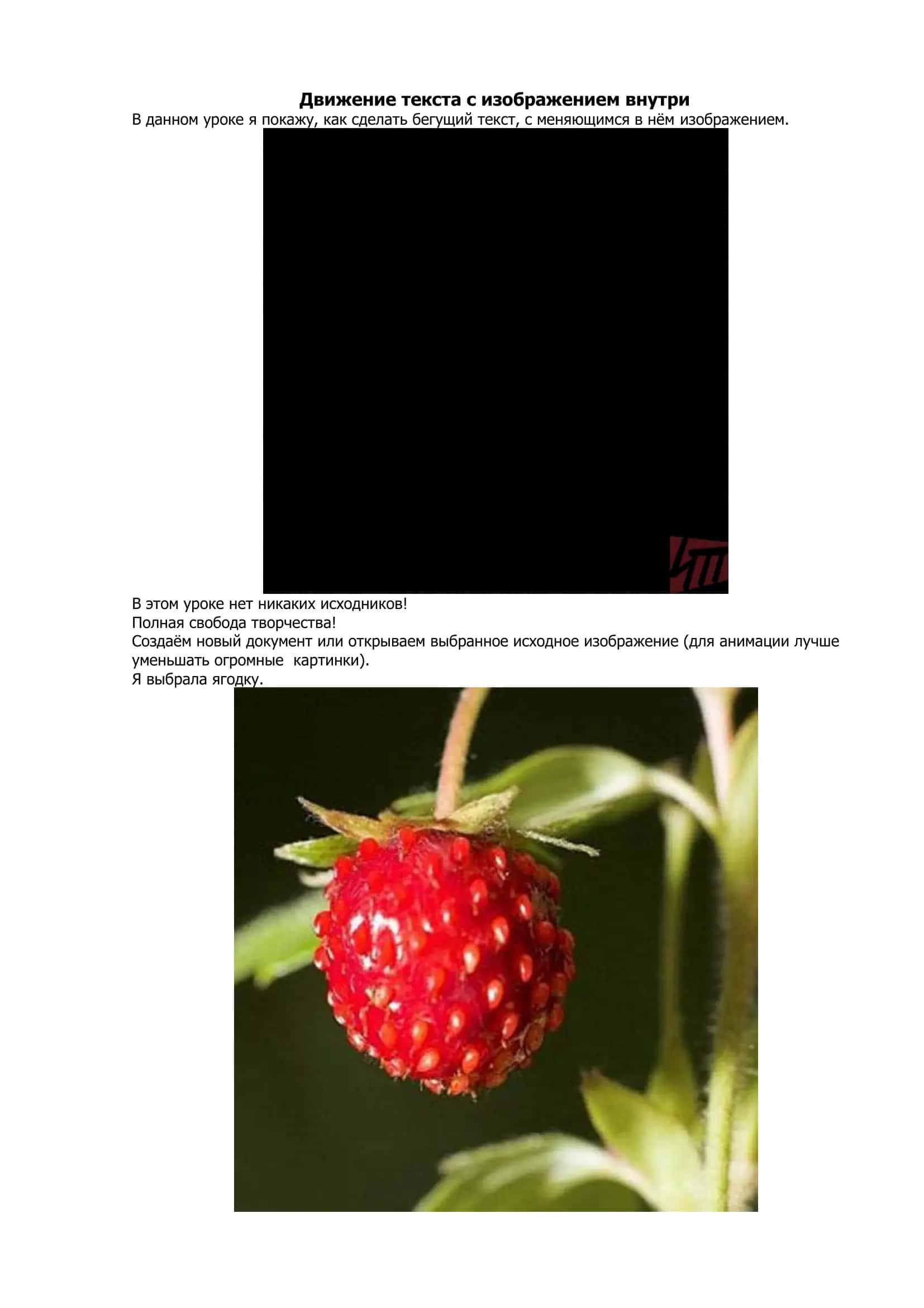 Adobe Photoshop 2