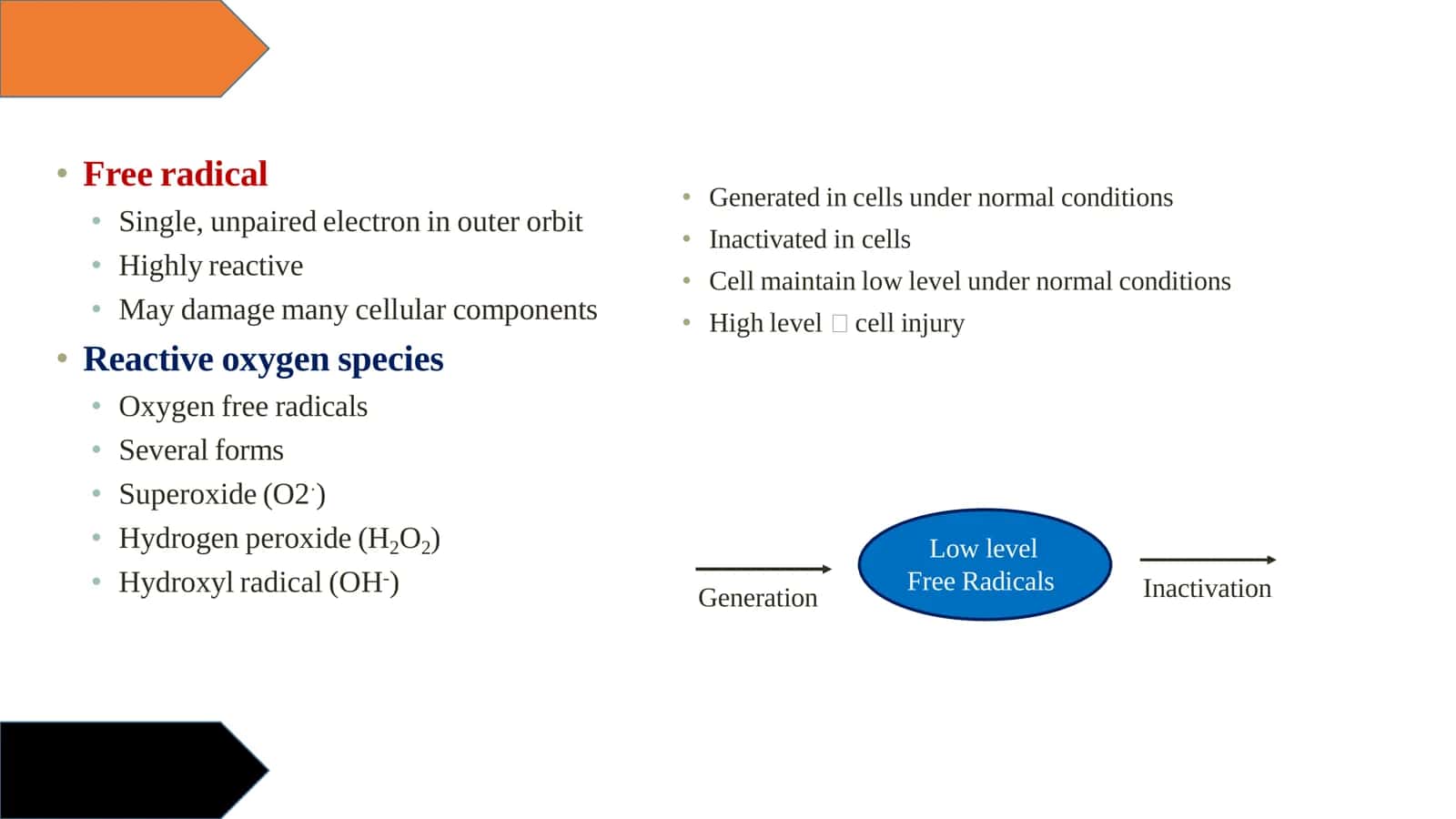 Free Radicals 2