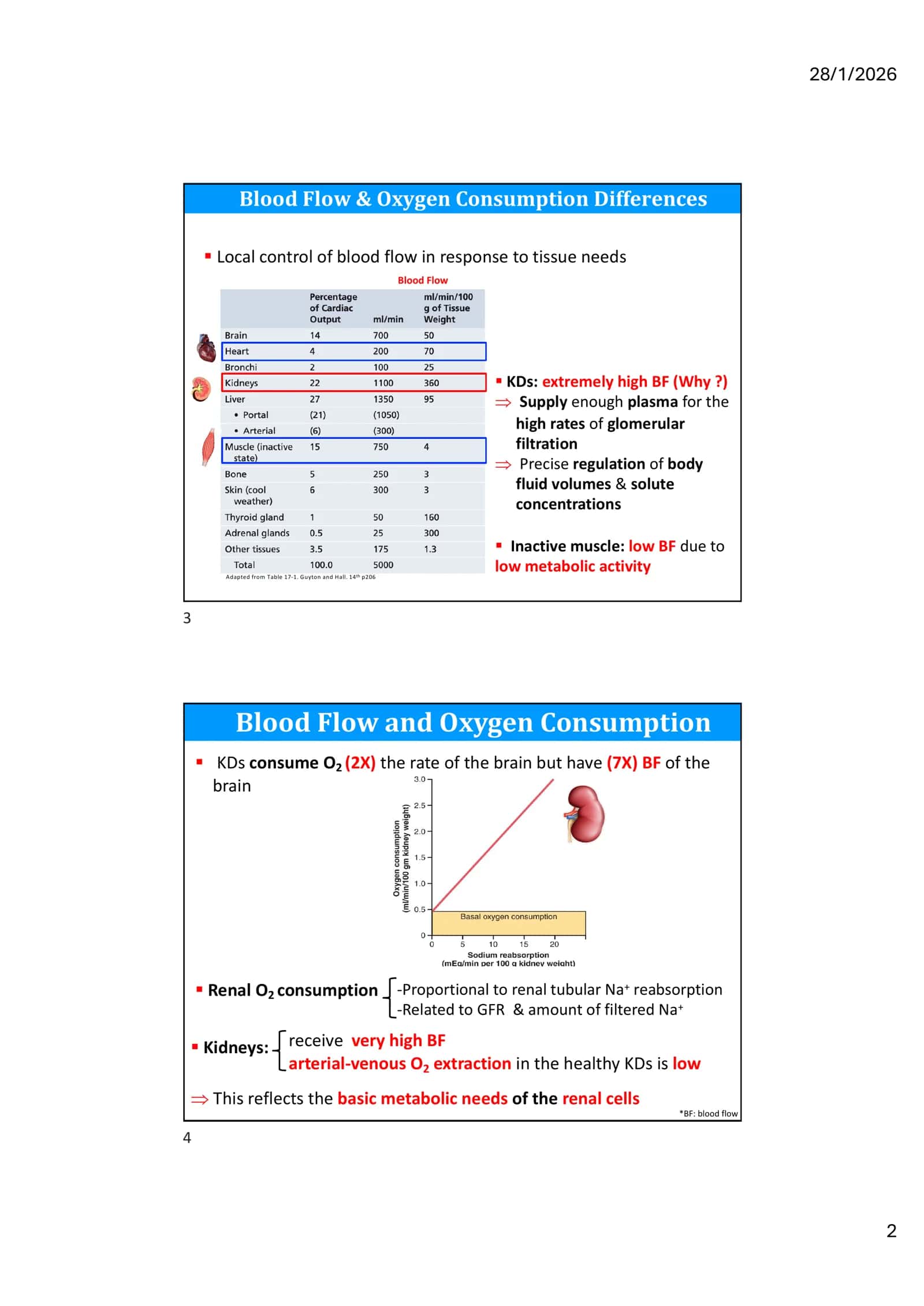 Glomerular Filtration and Renal Hemodynamics II 2