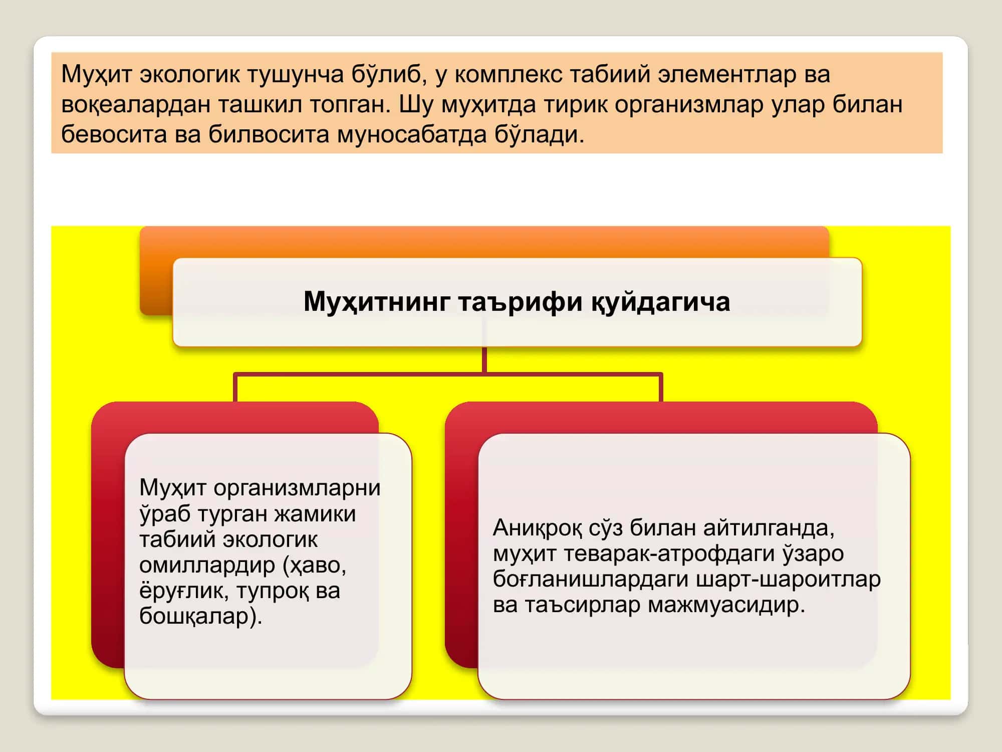 EKOLOGIK OMILLAR 2