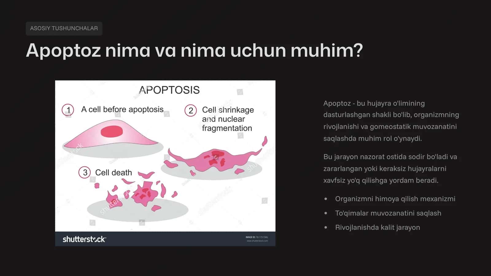 Xujayra apoptozi. 2