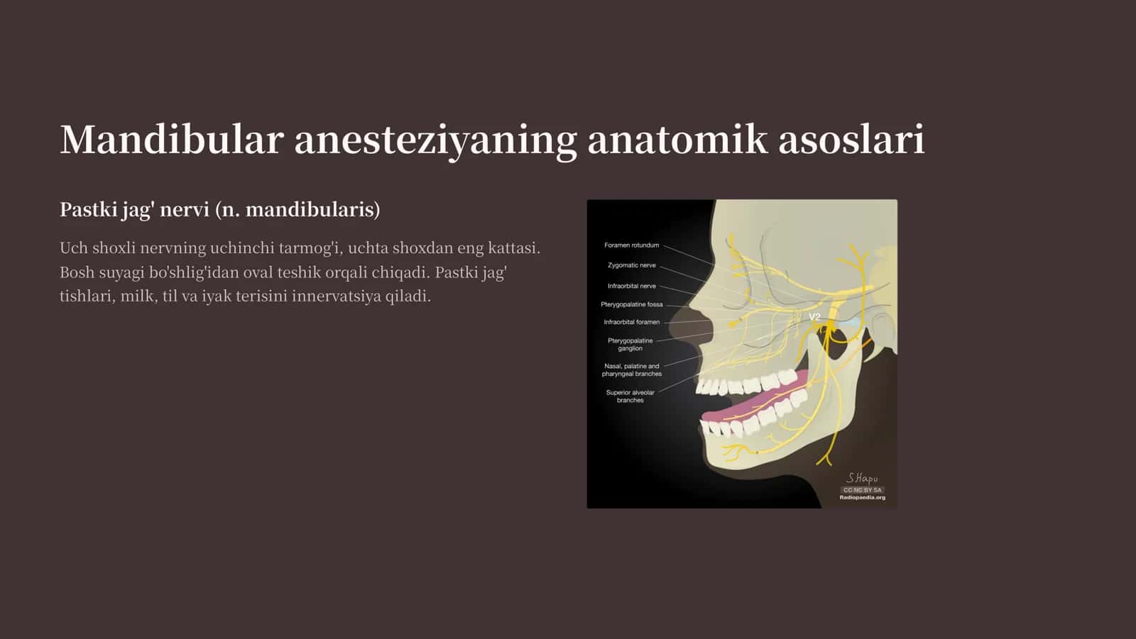 Mandibulyar anesteziya 2