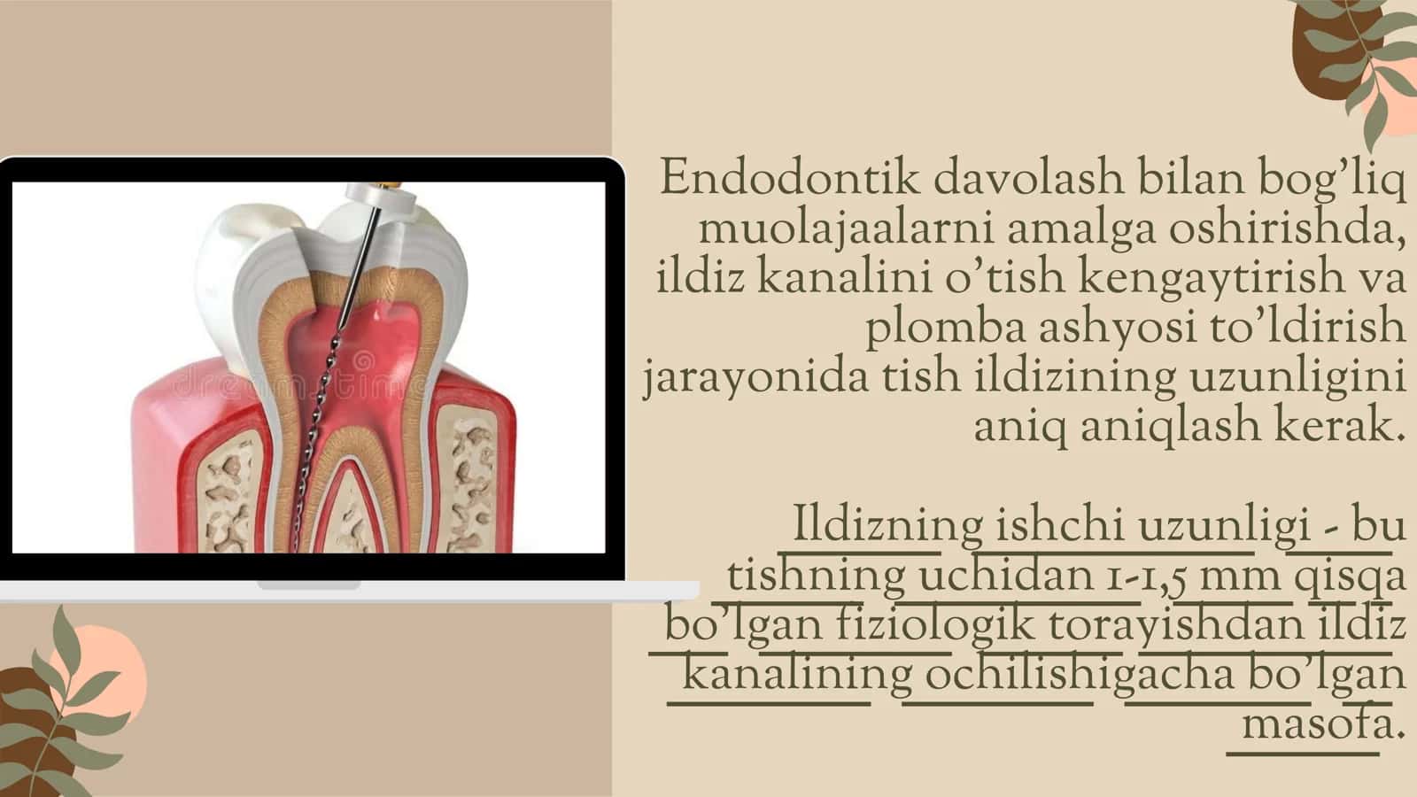 Ildiz kanali ishchi qismi uzunligini olchash usullari 2
