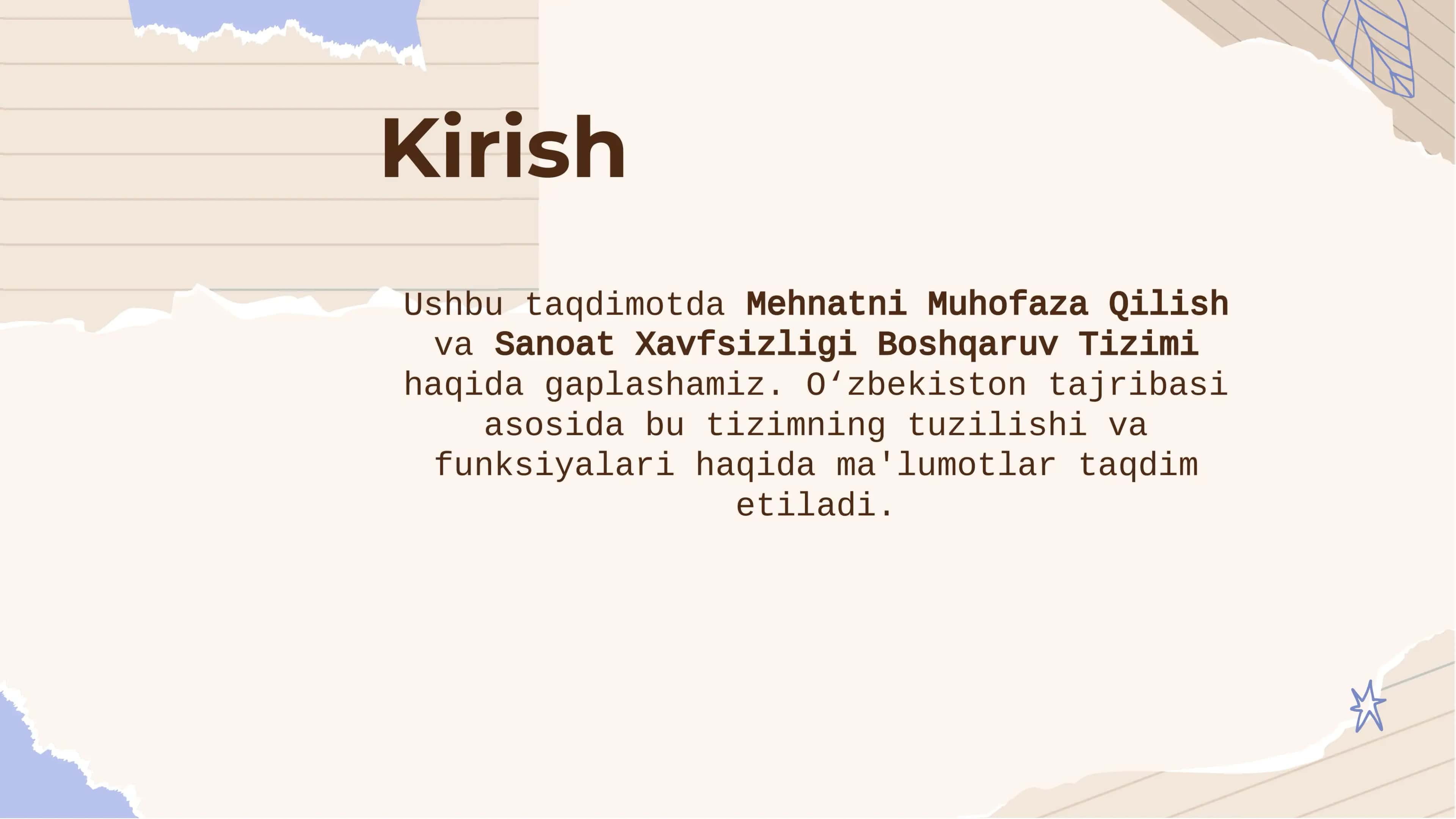 Mehnatni Muhofaza Qilish va Sanoat Xavfsizligi Boshqaruv Tizimi 2
