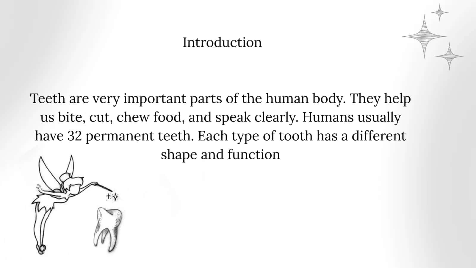 Types of teeth 2
