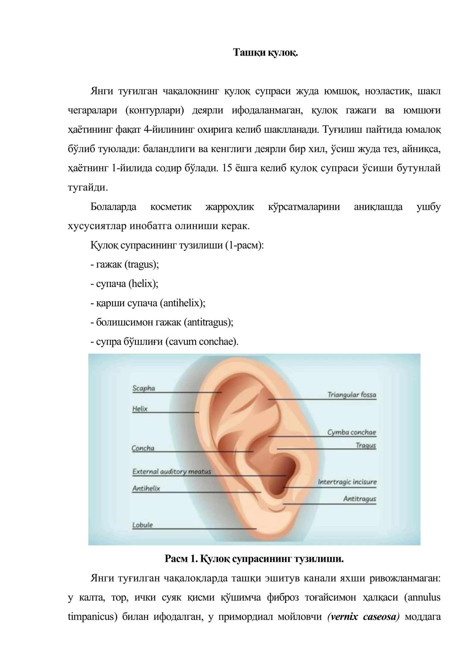 Болаларда қулоқ тузилишининг хусусиятлари 2