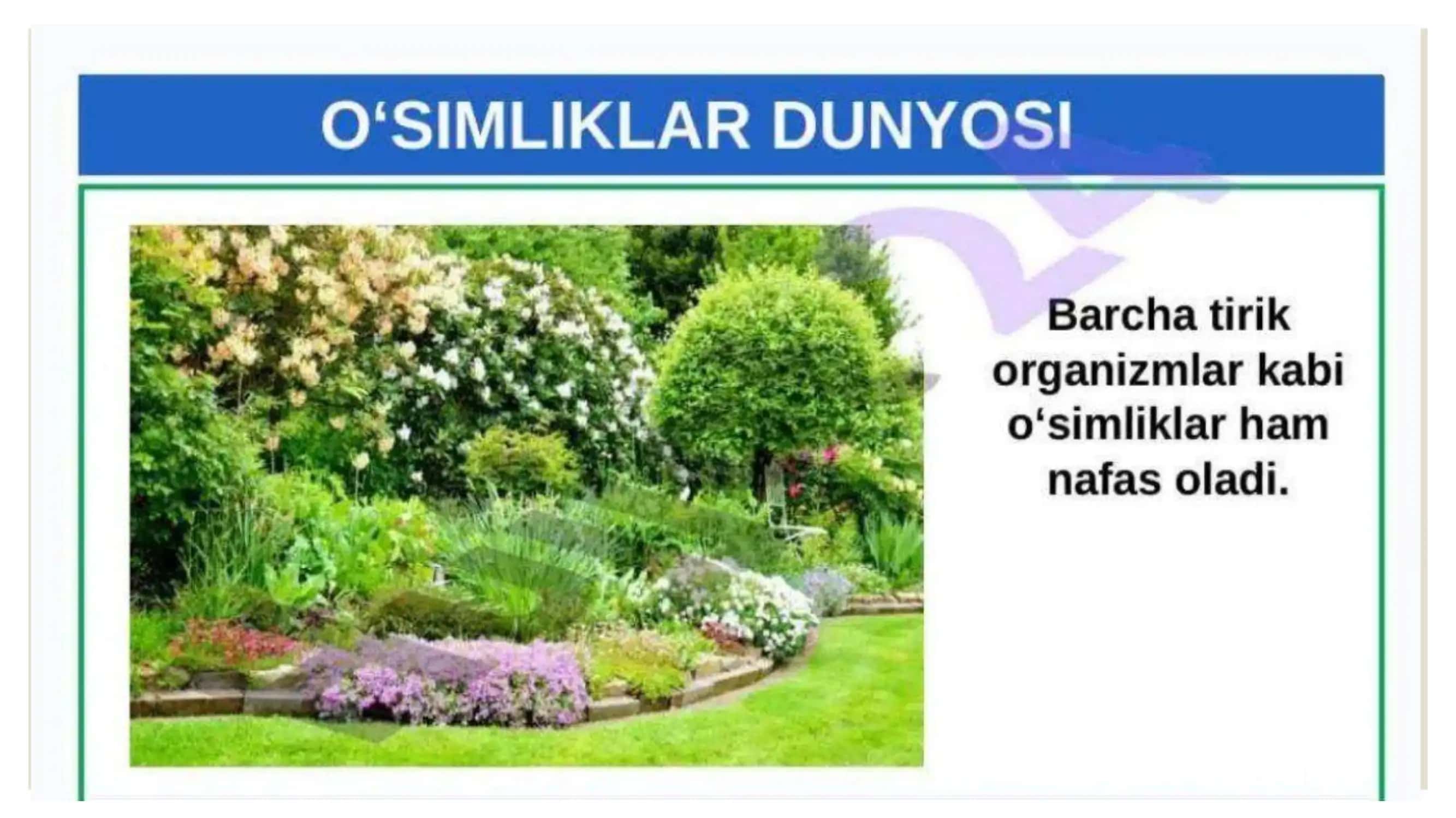 O'zbekiston o'simliklar dunyosi 2