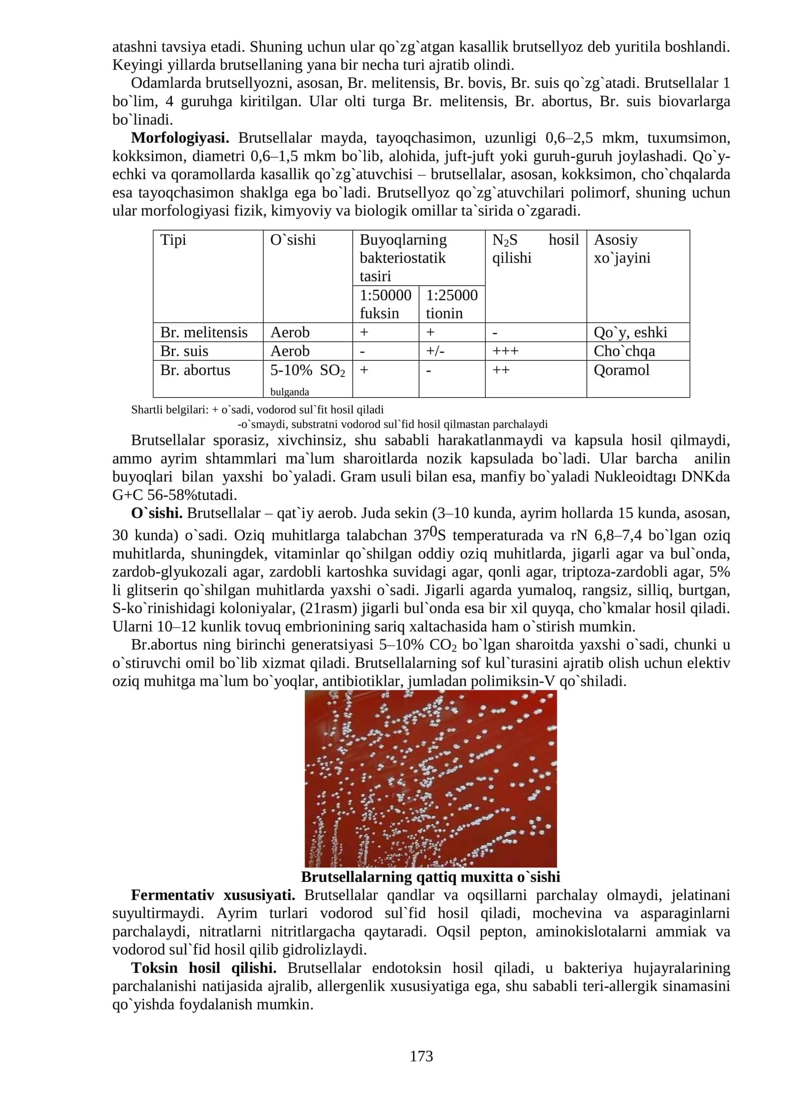 o'ta xavfli yuqumli kasalliklar 2