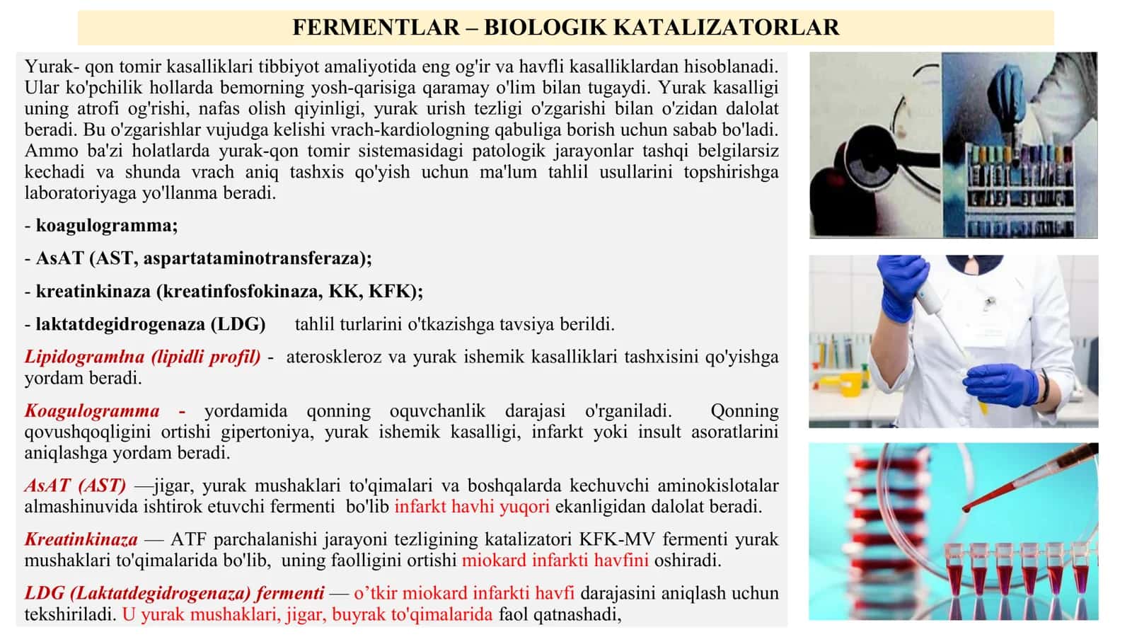 FERMENTLAR – BIOLOGIK KATALIZATORLAR 2