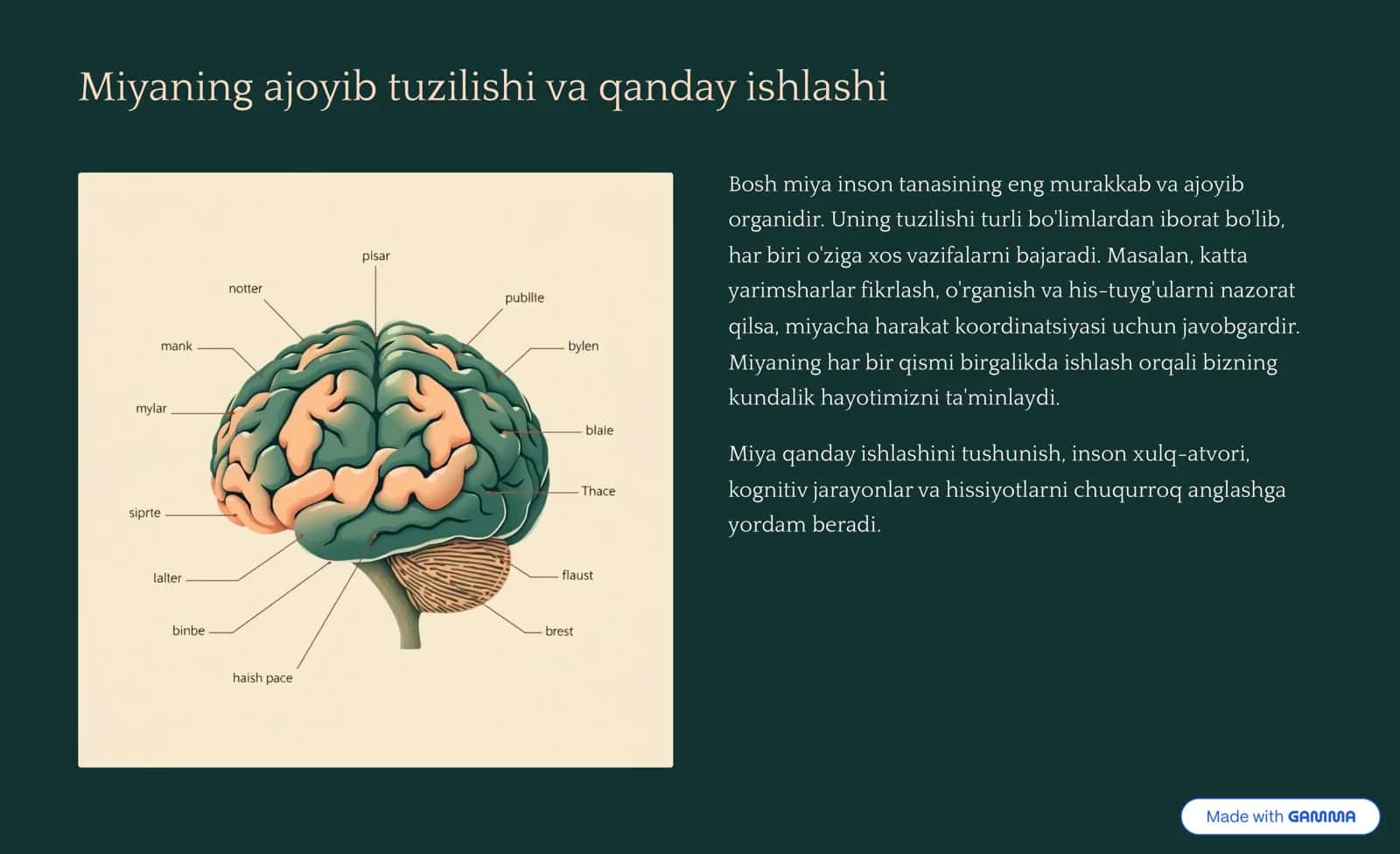Bosh Miyaning Faoliyati 2