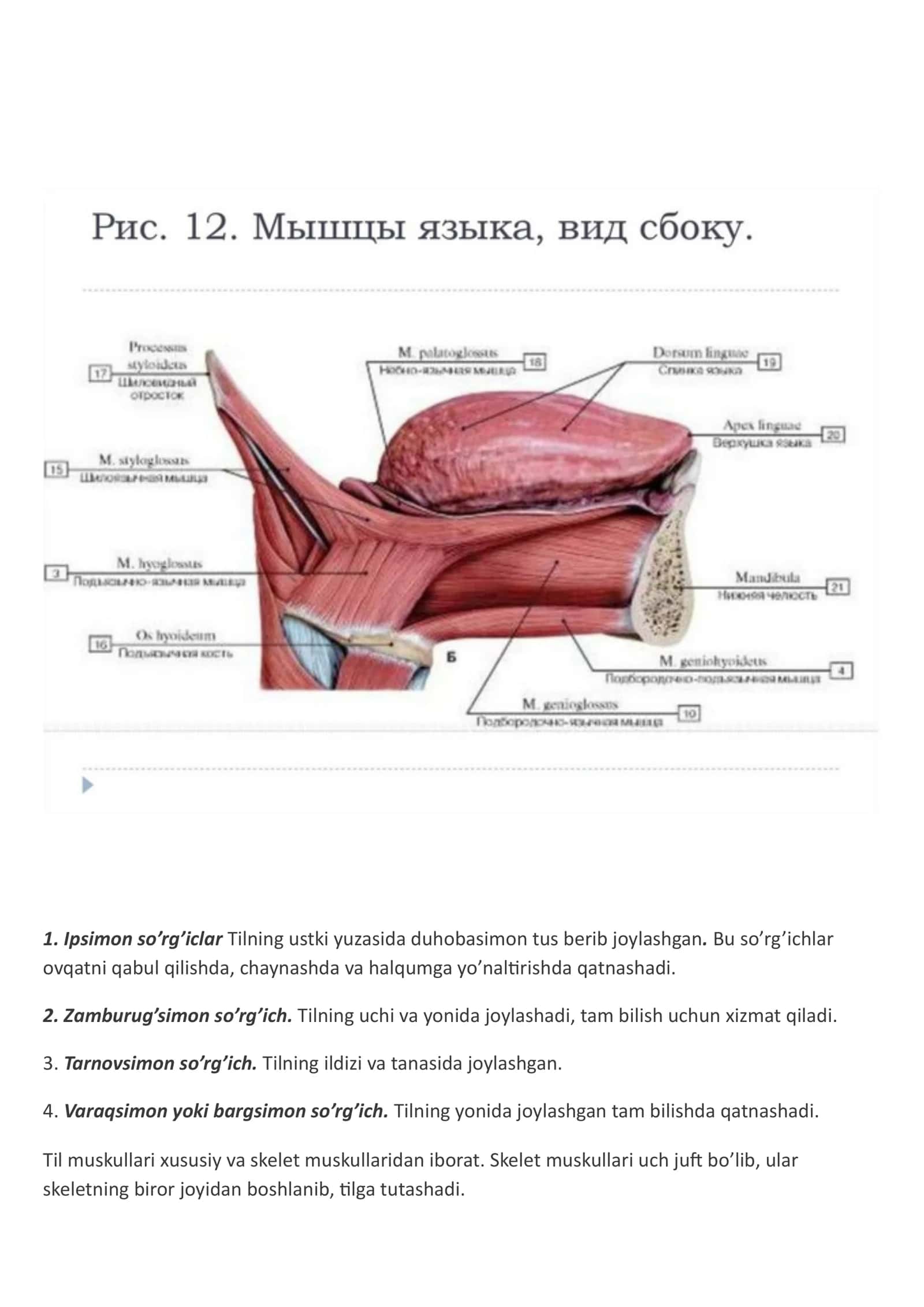 Patologik tish choʻntagini chuqurligini aniqlash . Patologik tish qimirlashi va uning darajalari 2
