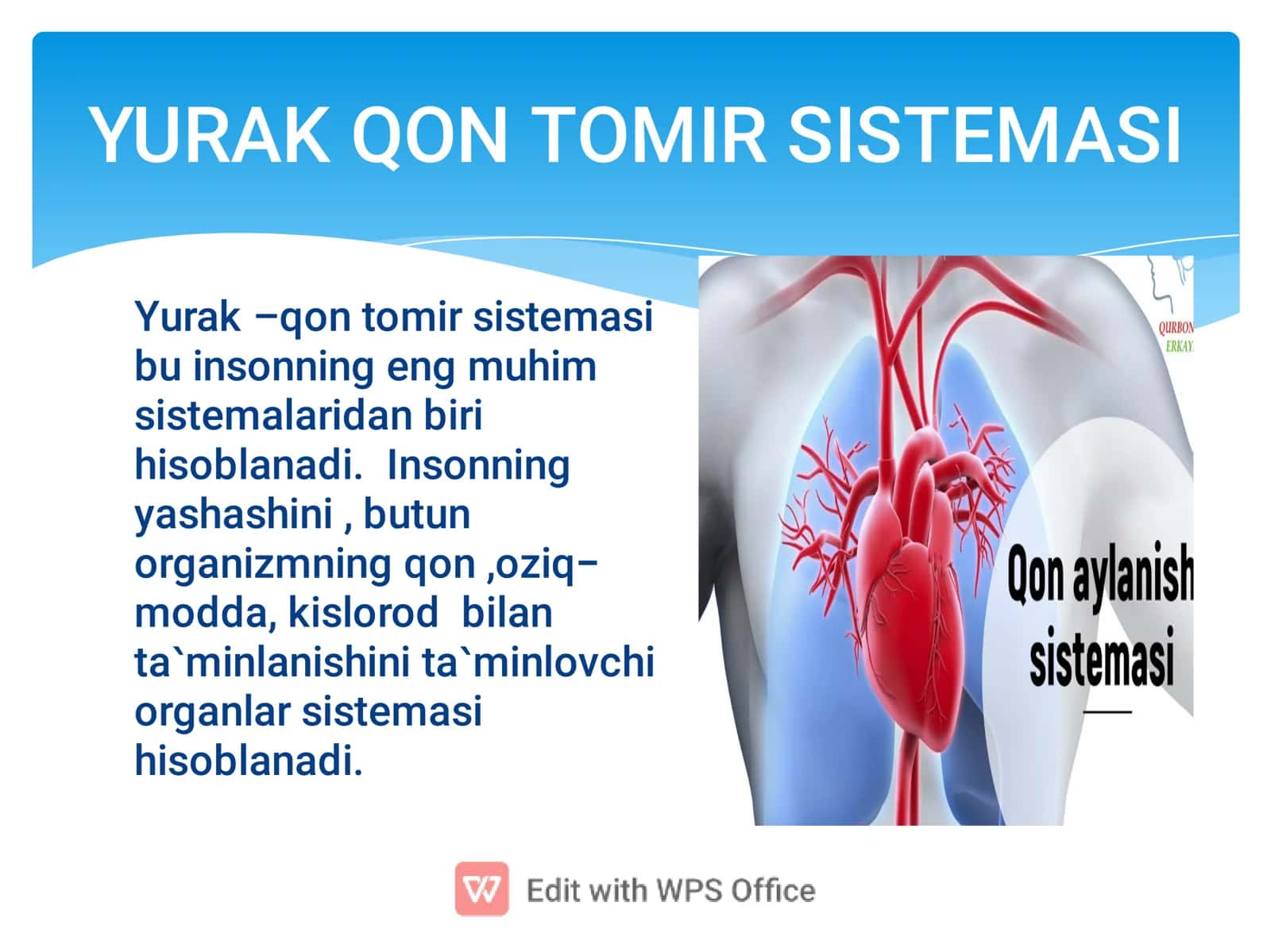 YURAK-QON TOMIR SISTEMASI 2