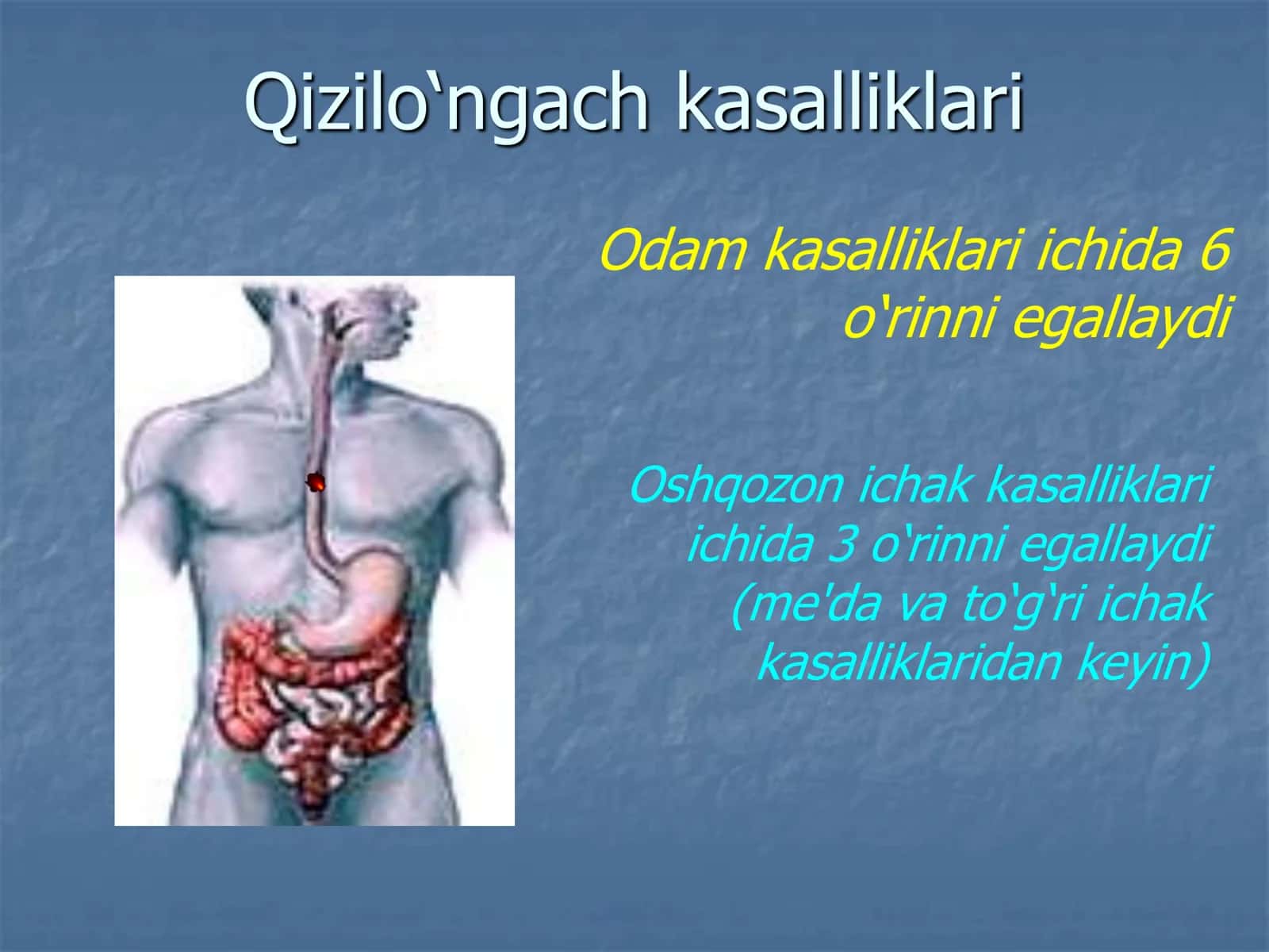 Qizilo'ngach kasalliklari 2