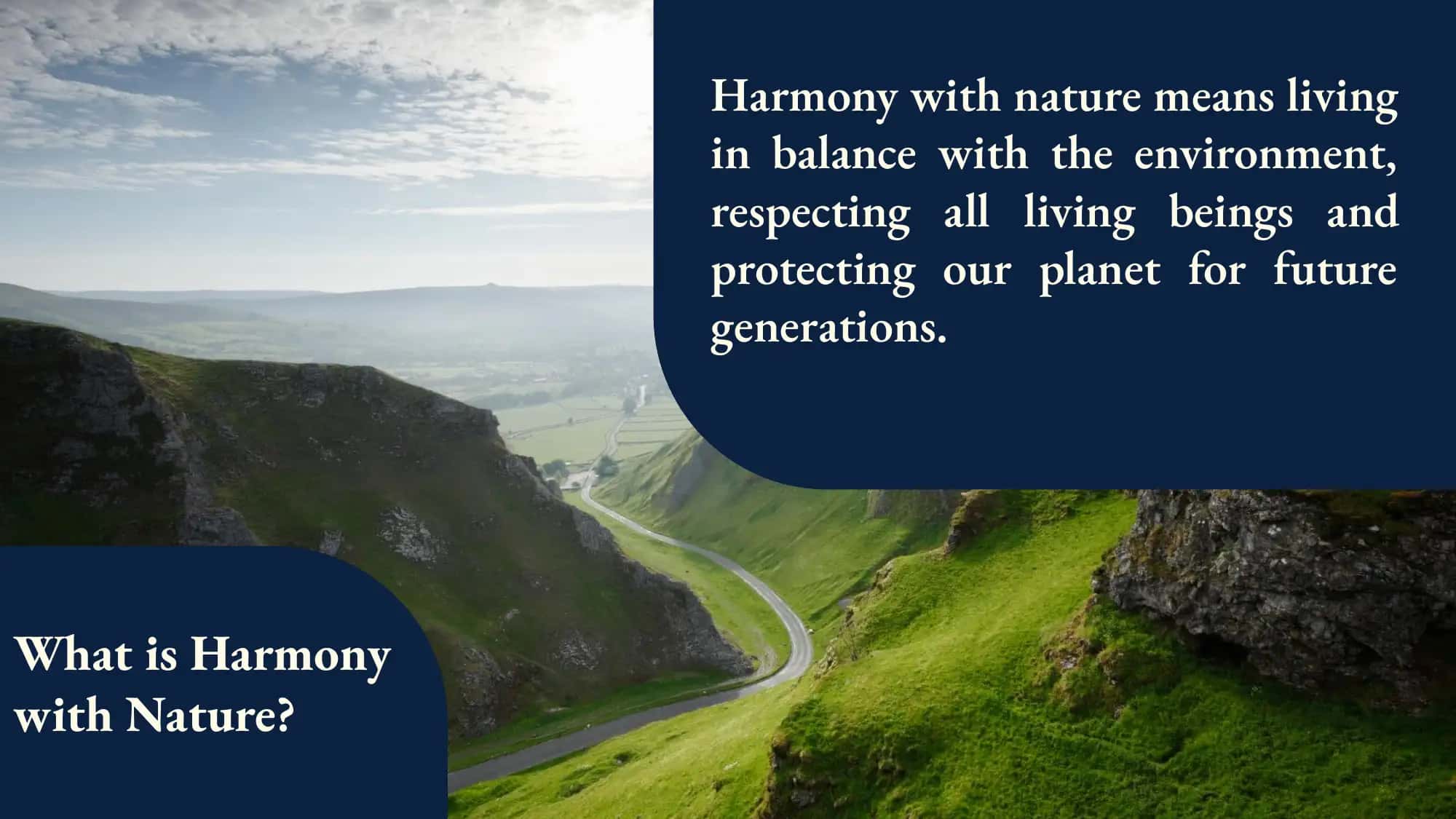 Harmony with Nature 2