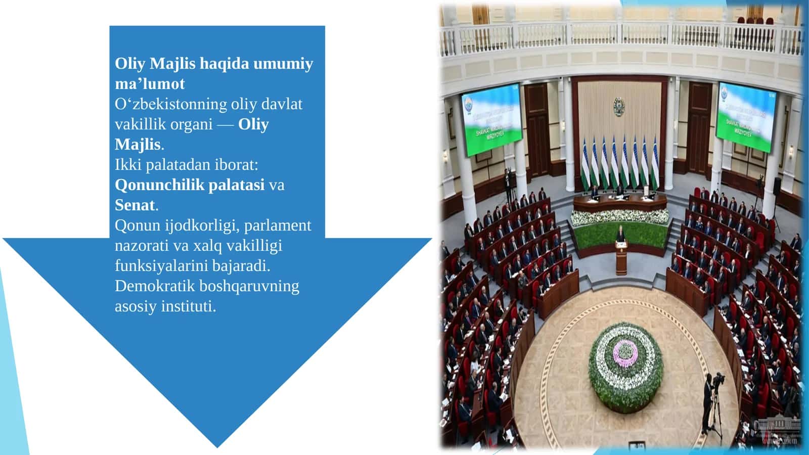 Qonunchilik palatasi: vakolatlari va faoliyati 2
