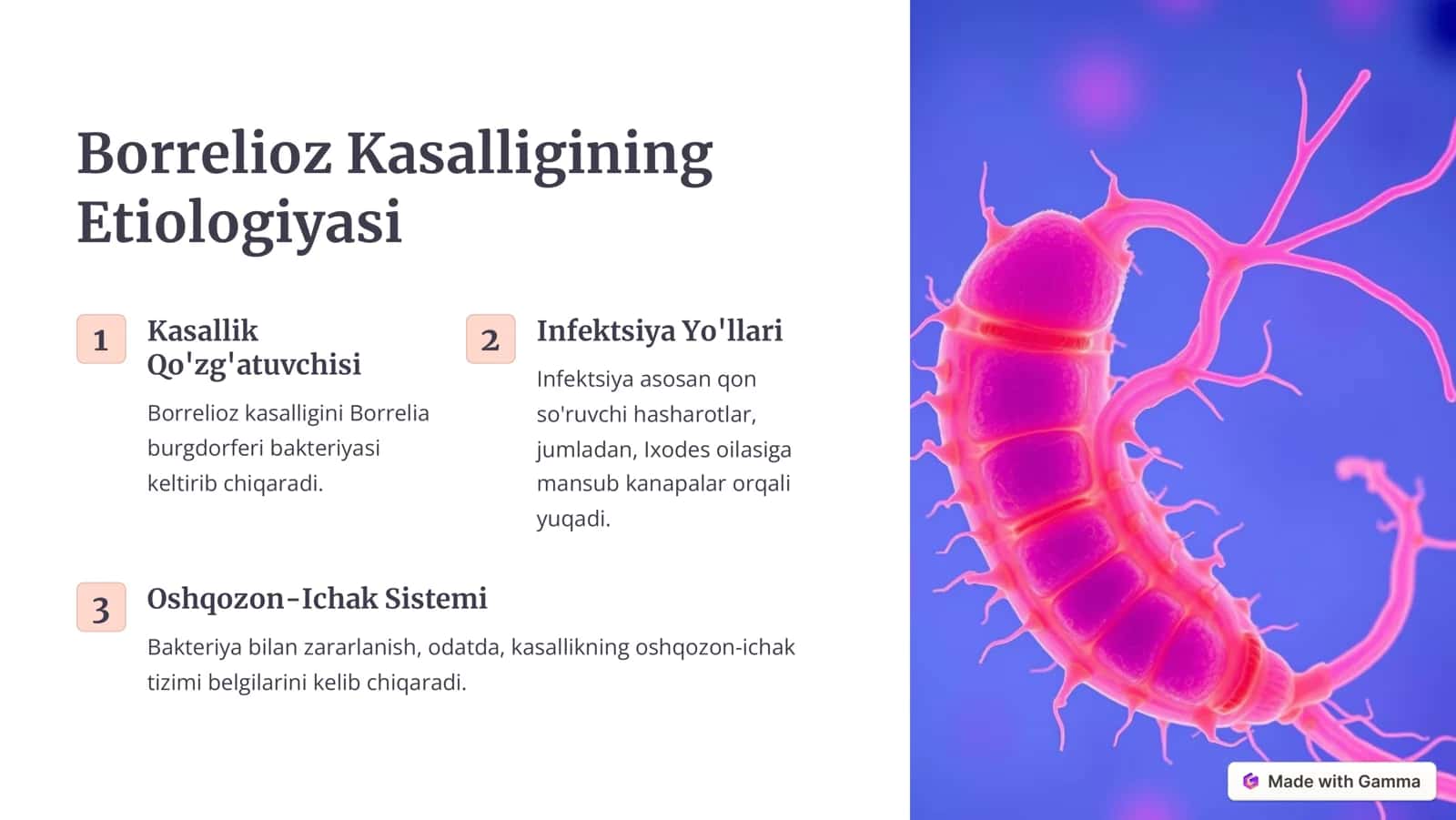 Borrelioz 2