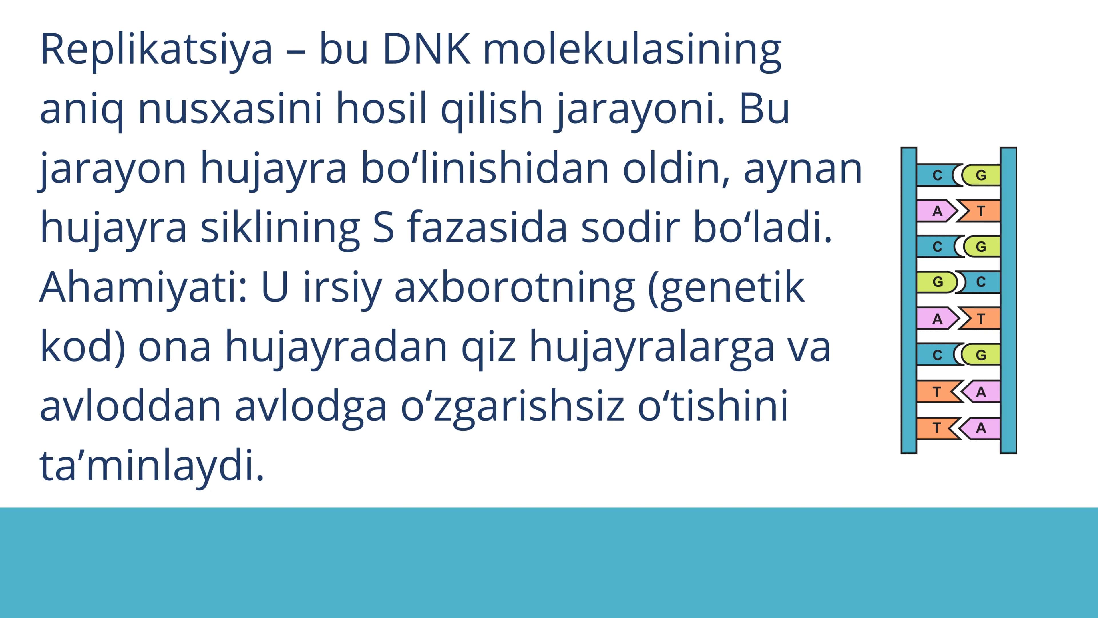 Replikatsiya 2
