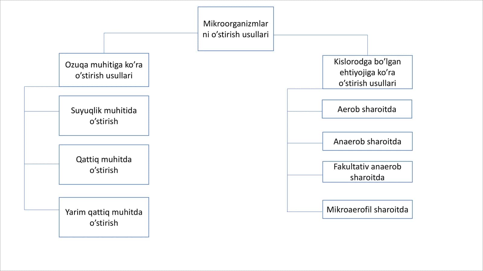 mikrobiologiya glossariy 2